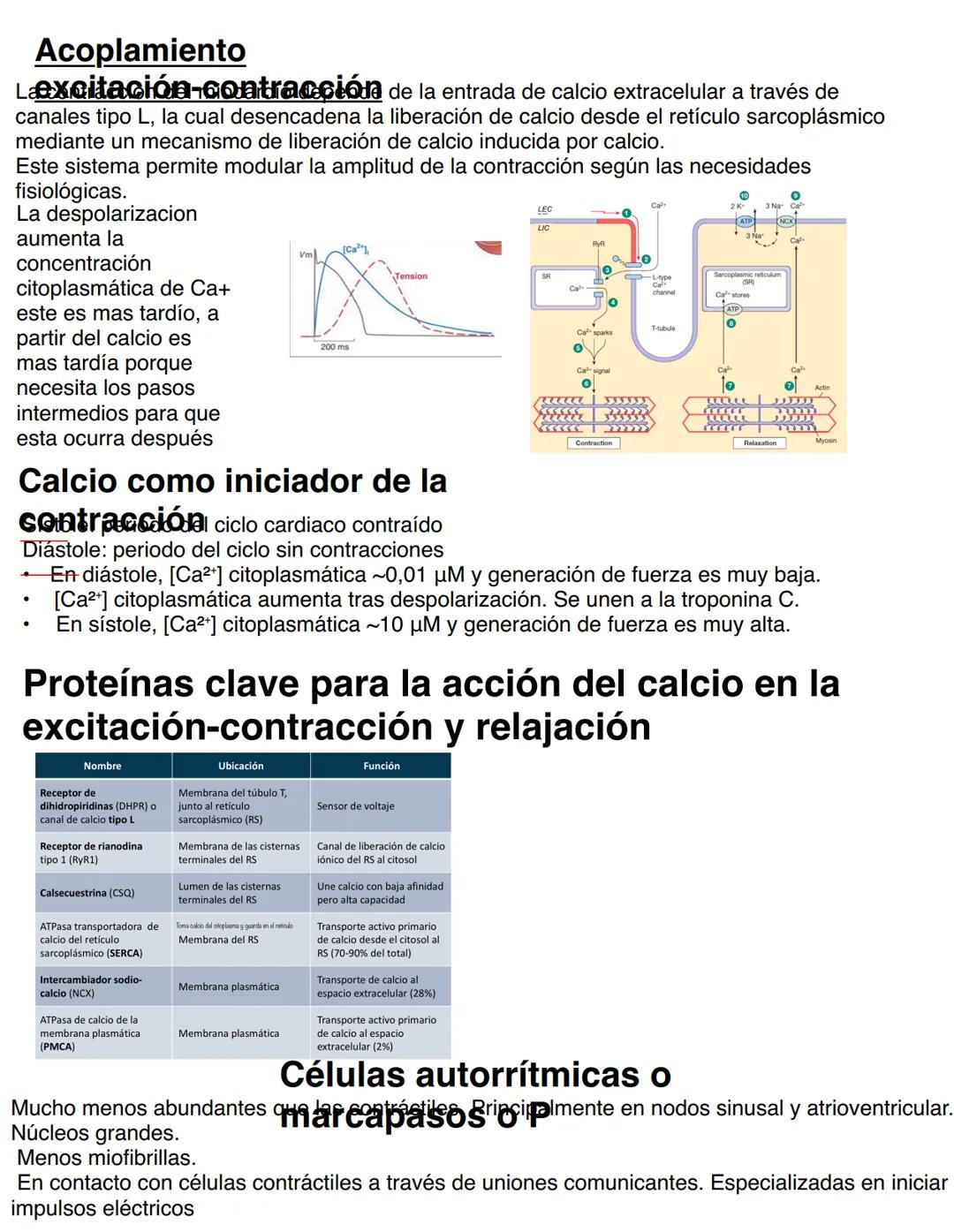 Clase 6
SISTEMA ENDOCRINO
15/04
Consiste en un conjunto de células, tejidos y órganos que sintetizan y secretan hormonas directamente en la