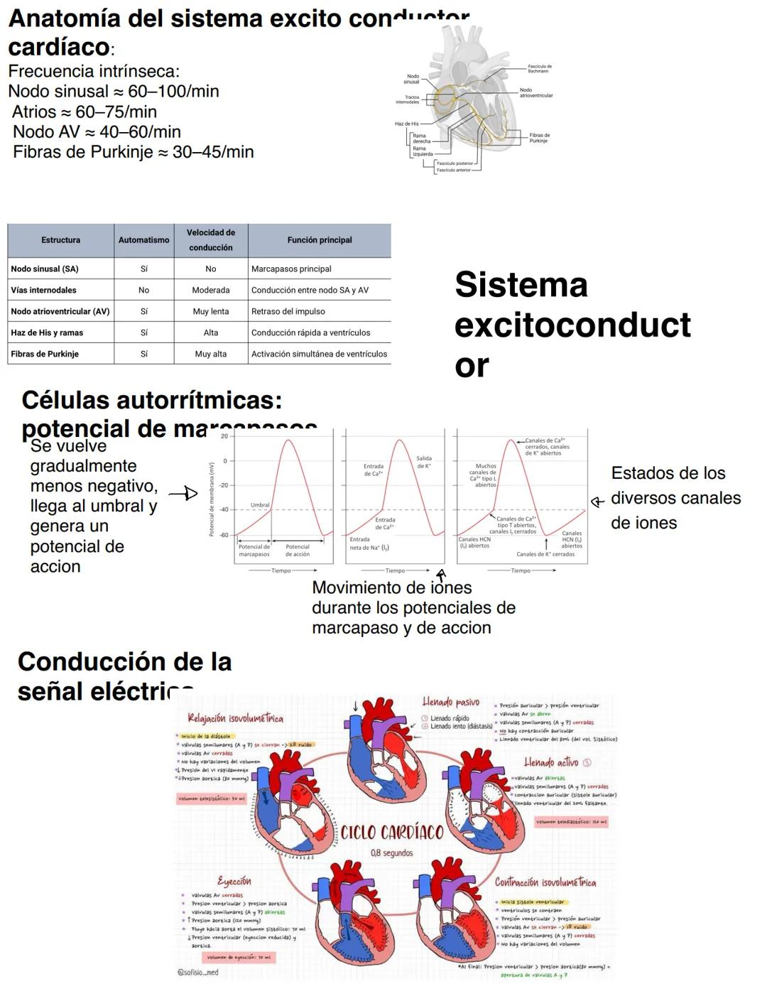 Clase 6
SISTEMA ENDOCRINO
15/04
Consiste en un conjunto de células, tejidos y órganos que sintetizan y secretan hormonas directamente en la