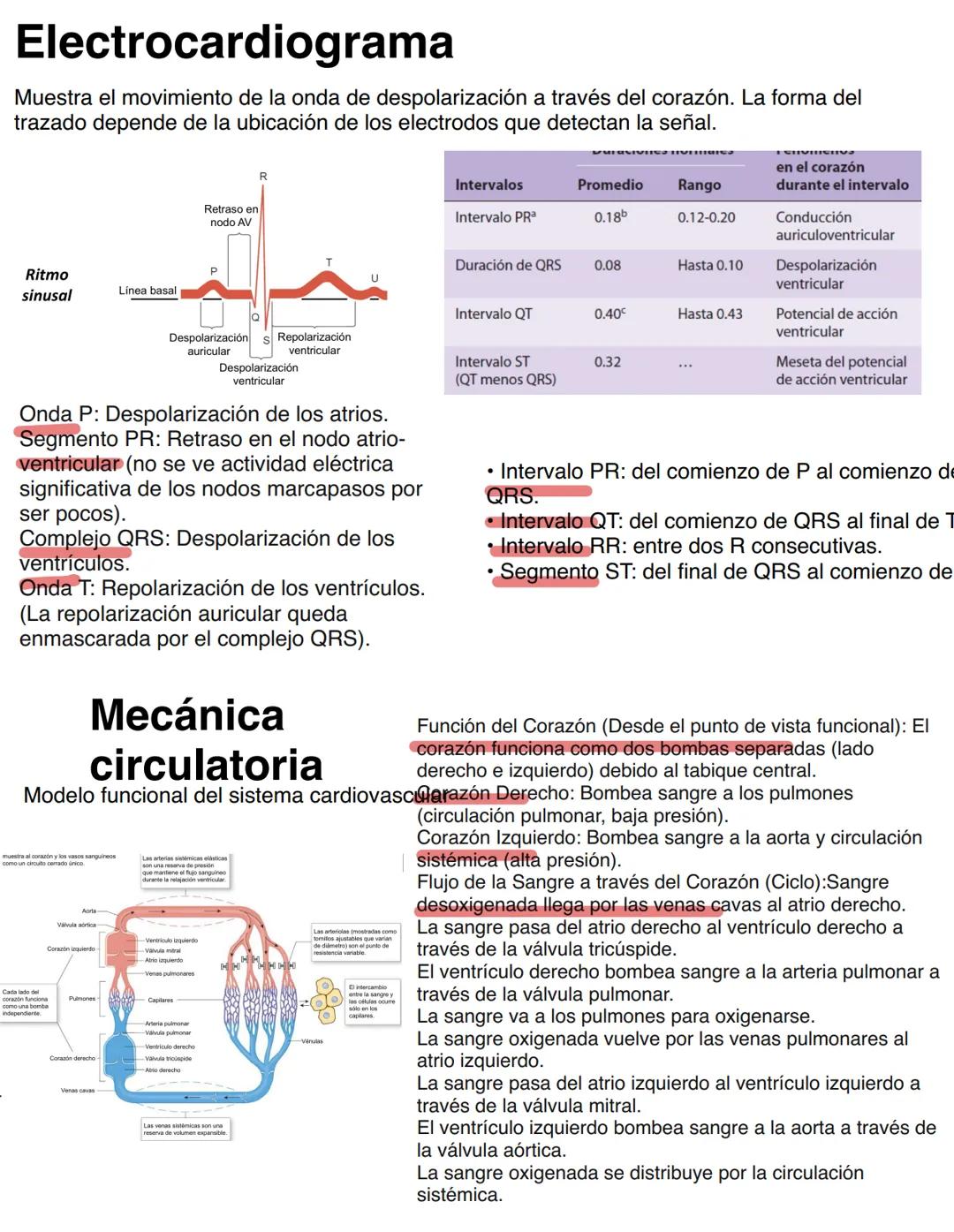 Clase 6
SISTEMA ENDOCRINO
15/04
Consiste en un conjunto de células, tejidos y órganos que sintetizan y secretan hormonas directamente en la