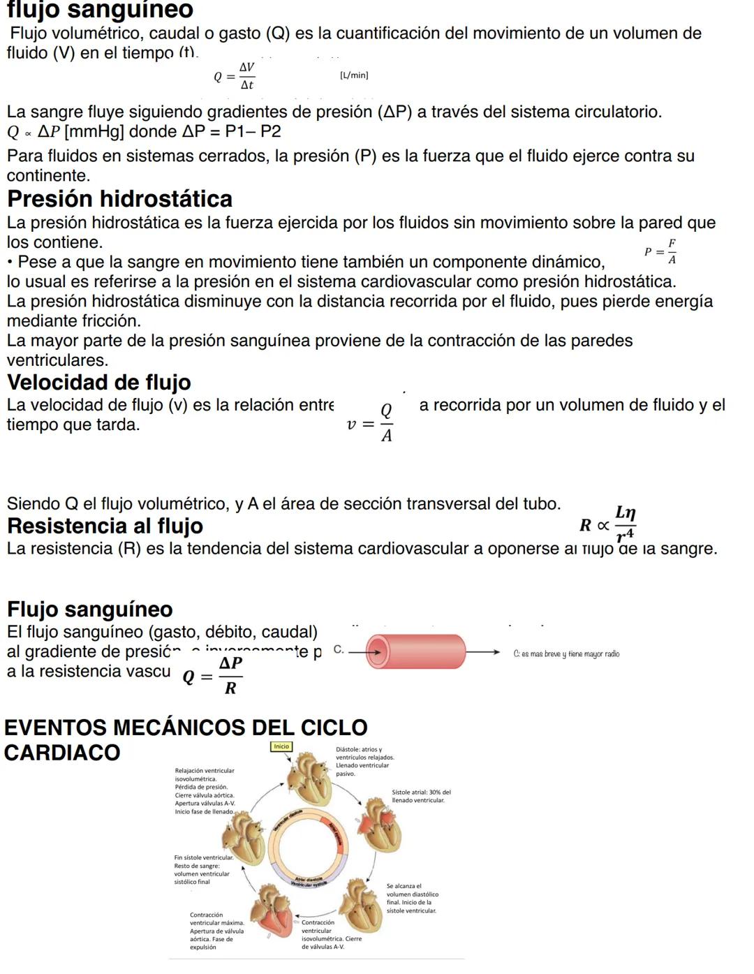 Clase 6
SISTEMA ENDOCRINO
15/04
Consiste en un conjunto de células, tejidos y órganos que sintetizan y secretan hormonas directamente en la