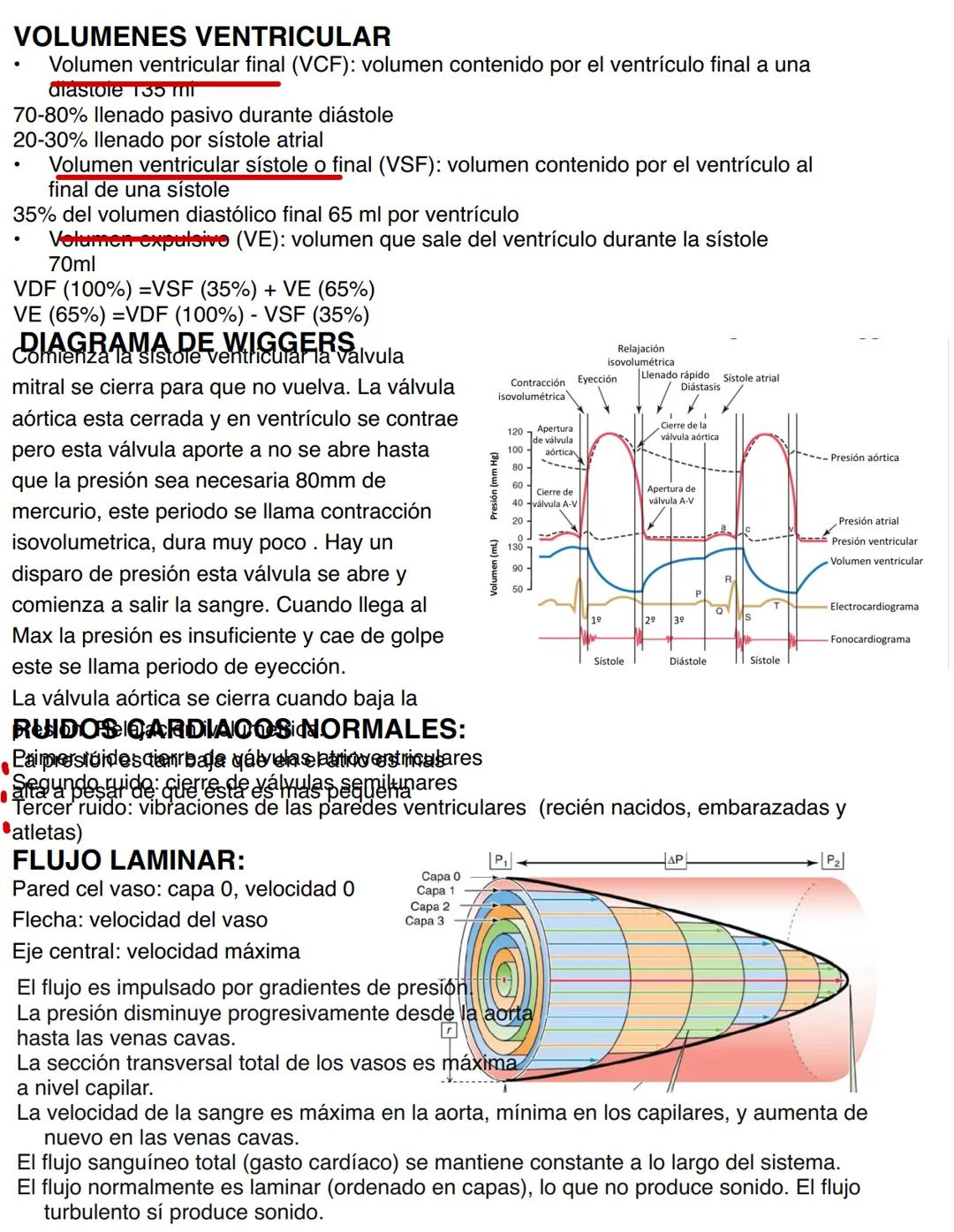 Clase 6
SISTEMA ENDOCRINO
15/04
Consiste en un conjunto de células, tejidos y órganos que sintetizan y secretan hormonas directamente en la