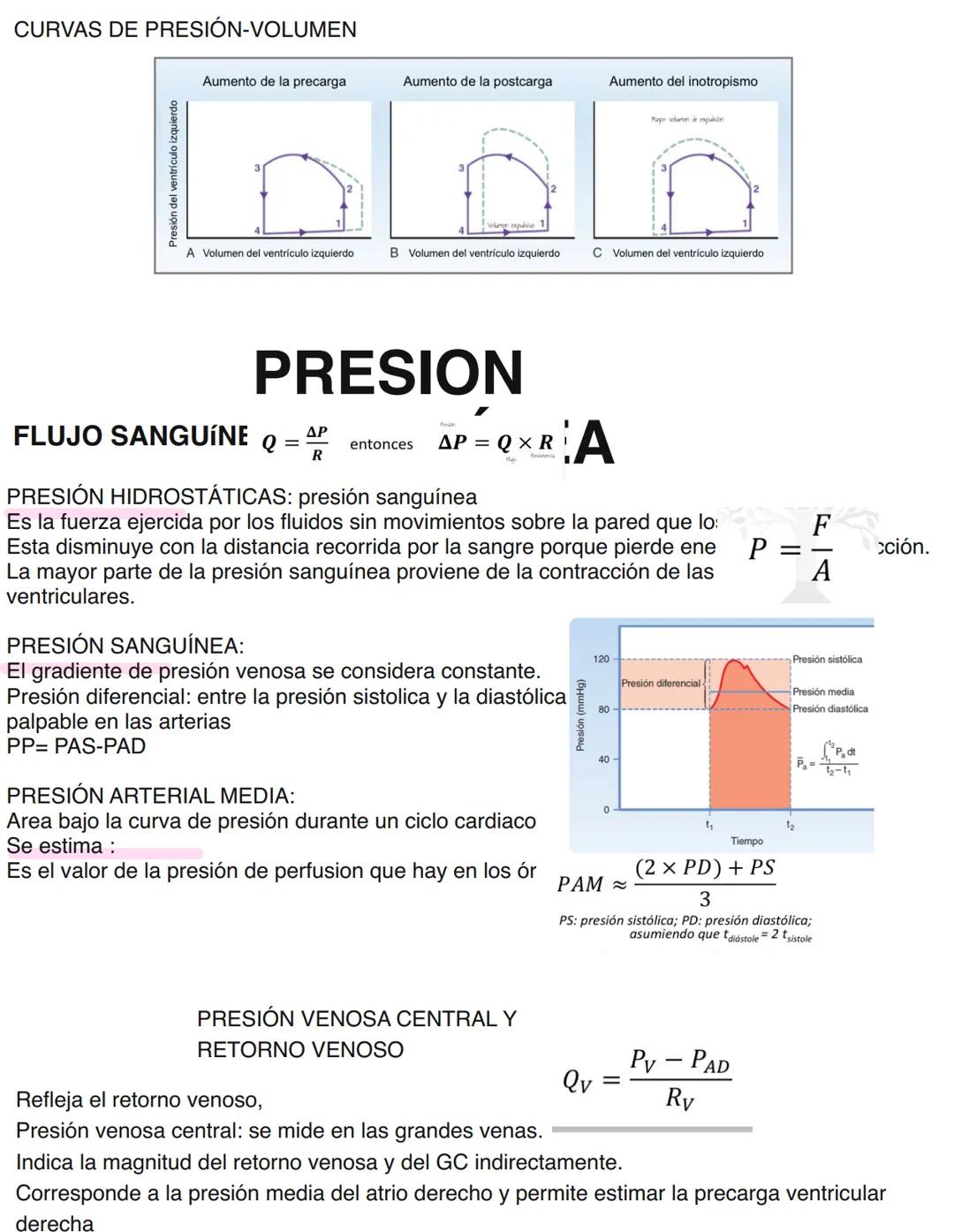Clase 6
SISTEMA ENDOCRINO
15/04
Consiste en un conjunto de células, tejidos y órganos que sintetizan y secretan hormonas directamente en la