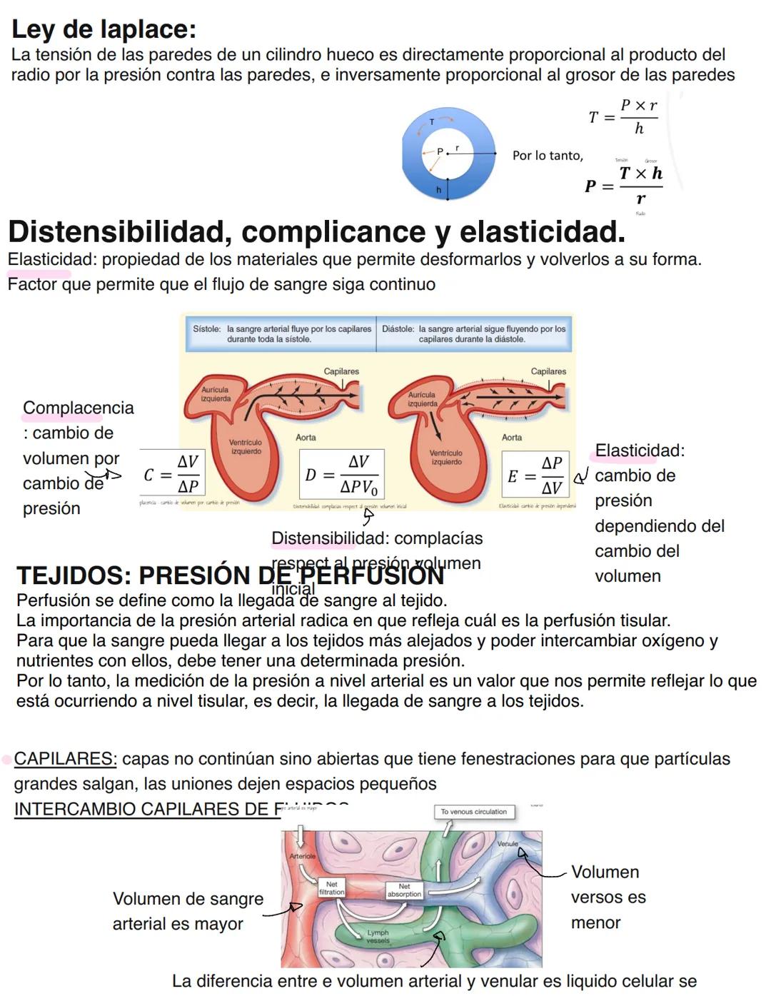 Clase 6
SISTEMA ENDOCRINO
15/04
Consiste en un conjunto de células, tejidos y órganos que sintetizan y secretan hormonas directamente en la