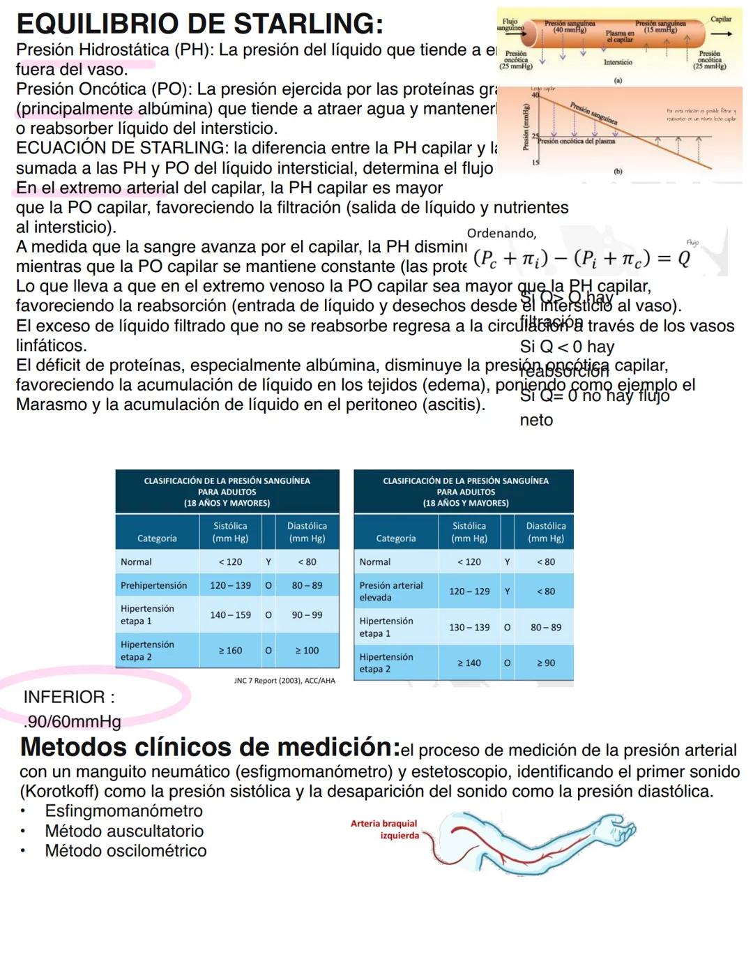 Clase 6
SISTEMA ENDOCRINO
15/04
Consiste en un conjunto de células, tejidos y órganos que sintetizan y secretan hormonas directamente en la