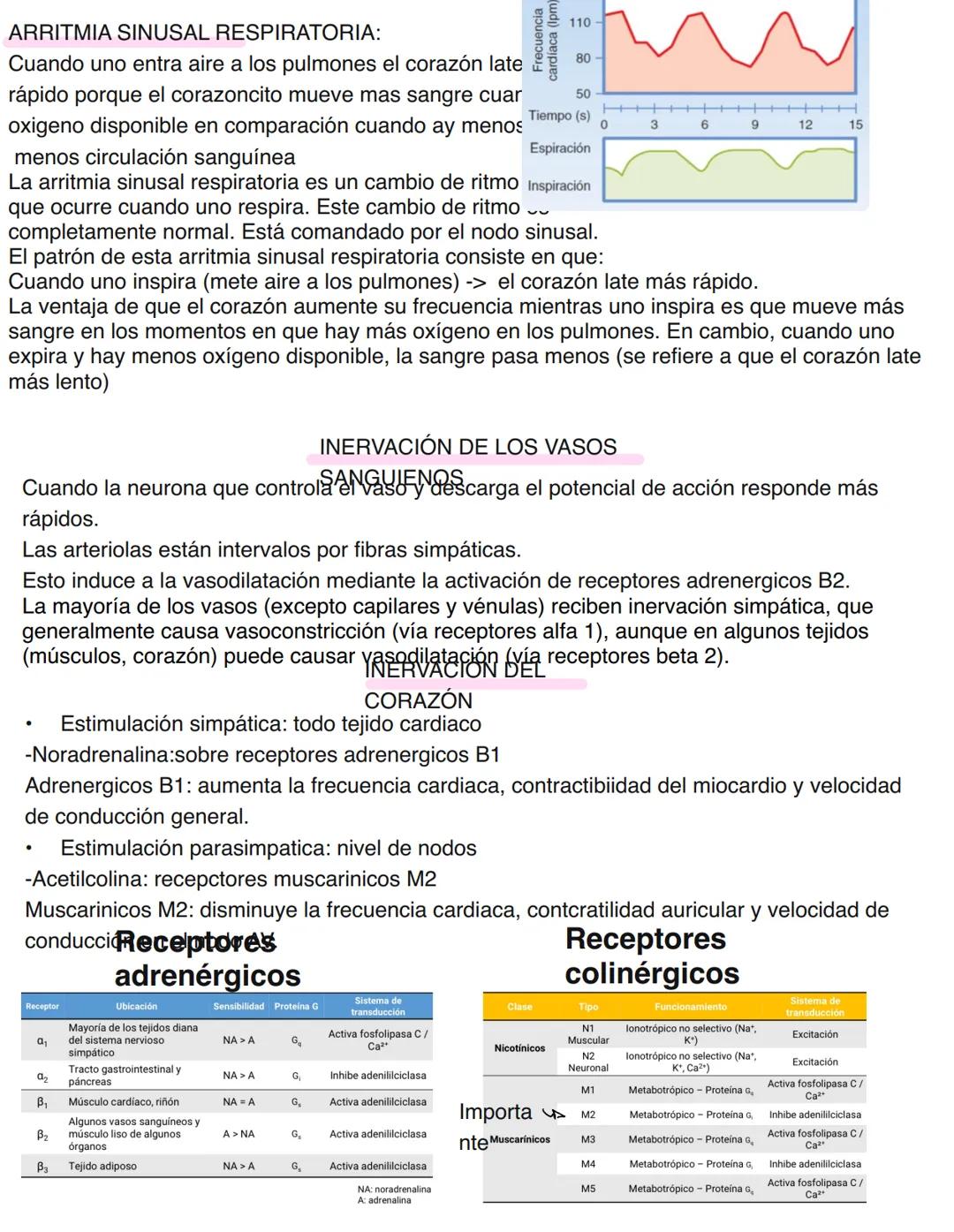 Clase 6
SISTEMA ENDOCRINO
15/04
Consiste en un conjunto de células, tejidos y órganos que sintetizan y secretan hormonas directamente en la
