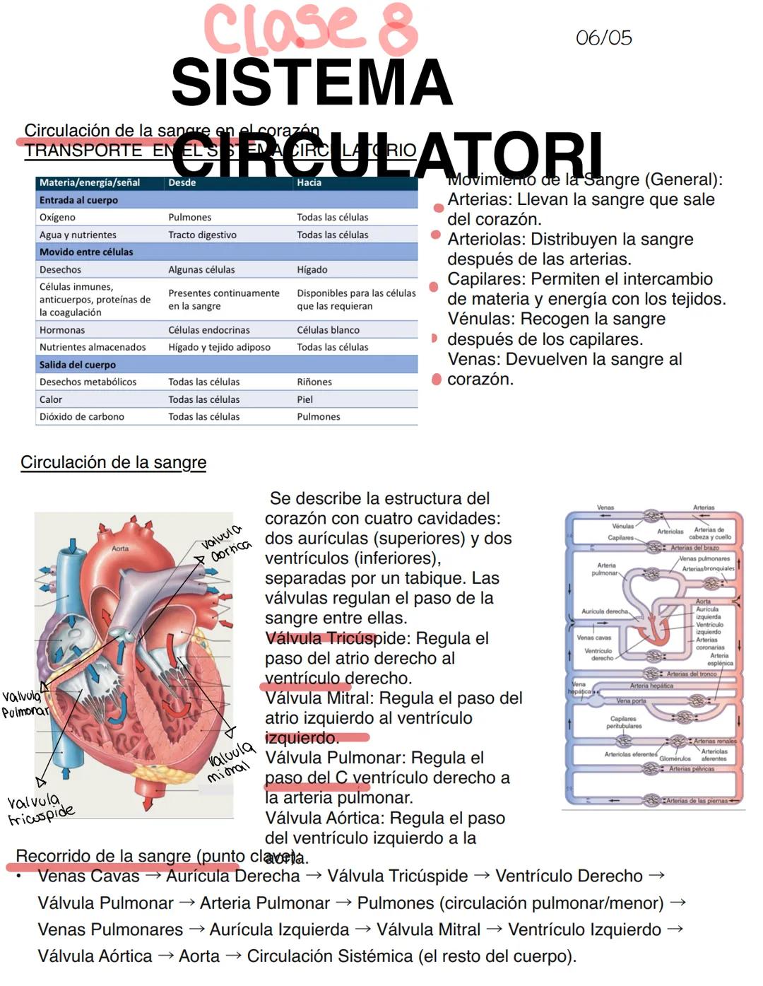 Clase 6
SISTEMA ENDOCRINO
15/04
Consiste en un conjunto de células, tejidos y órganos que sintetizan y secretan hormonas directamente en la