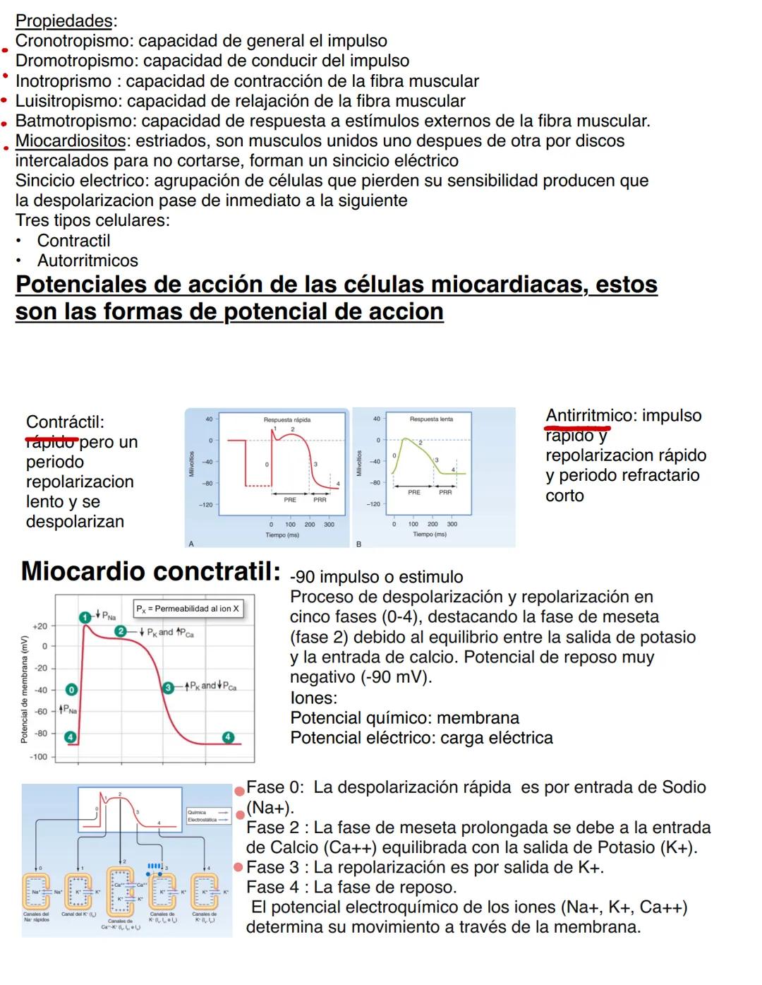 Clase 6
SISTEMA ENDOCRINO
15/04
Consiste en un conjunto de células, tejidos y órganos que sintetizan y secretan hormonas directamente en la