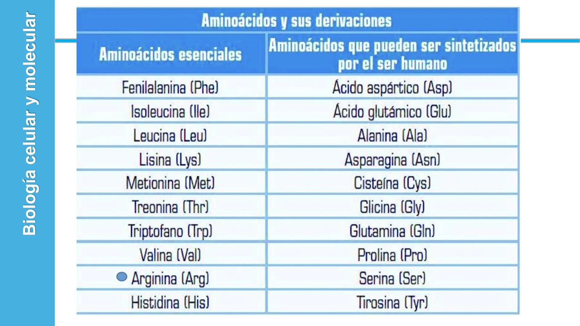 Objetivo: Describir la estructura de las proteínas y analizar la función de las proteínas.
# PROTEÍNAS
Unidad 2 Estudiando la versatilida