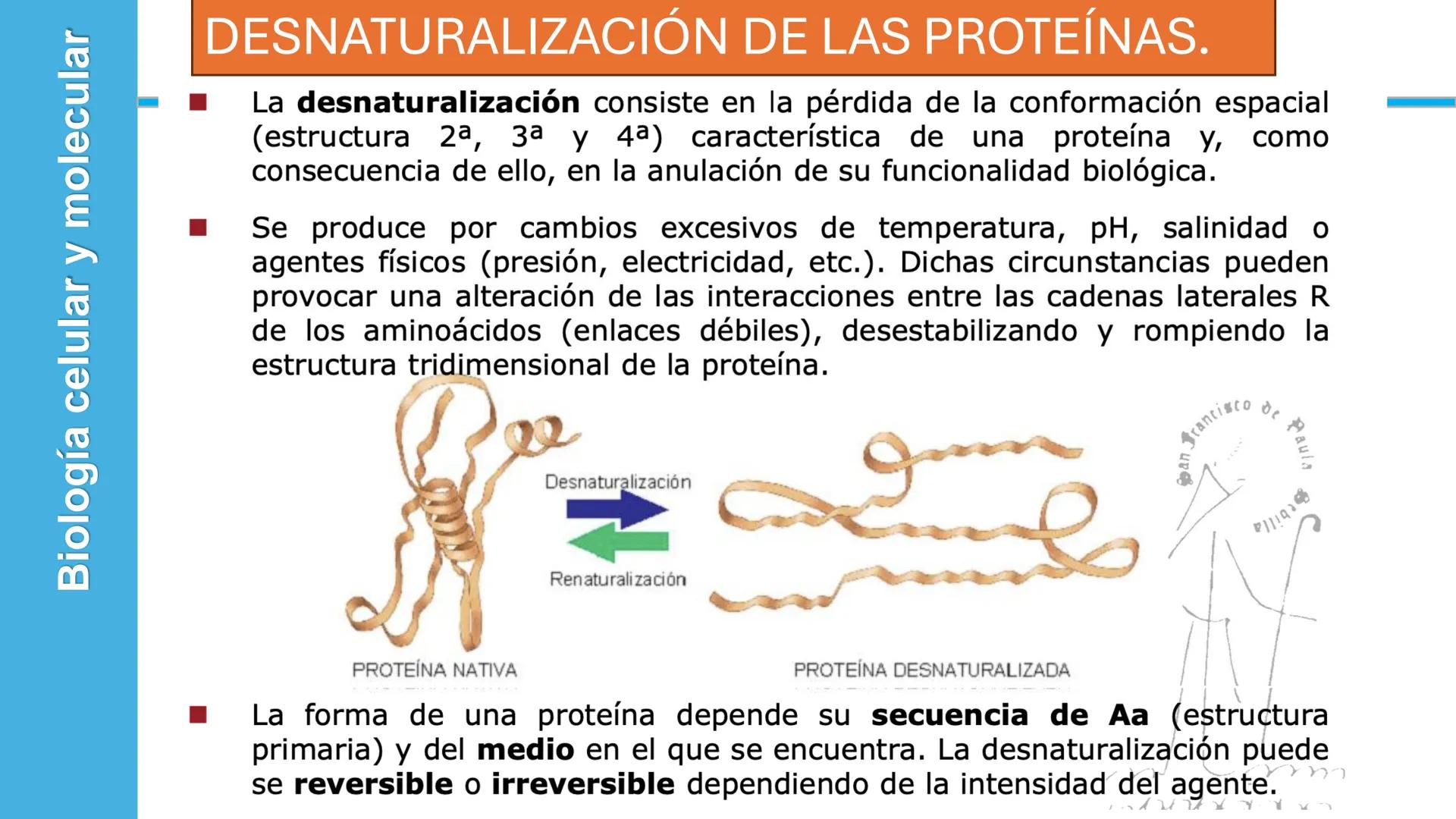 Objetivo: Describir la estructura de las proteínas y analizar la función de las proteínas.
# PROTEÍNAS
Unidad 2 Estudiando la versatilida