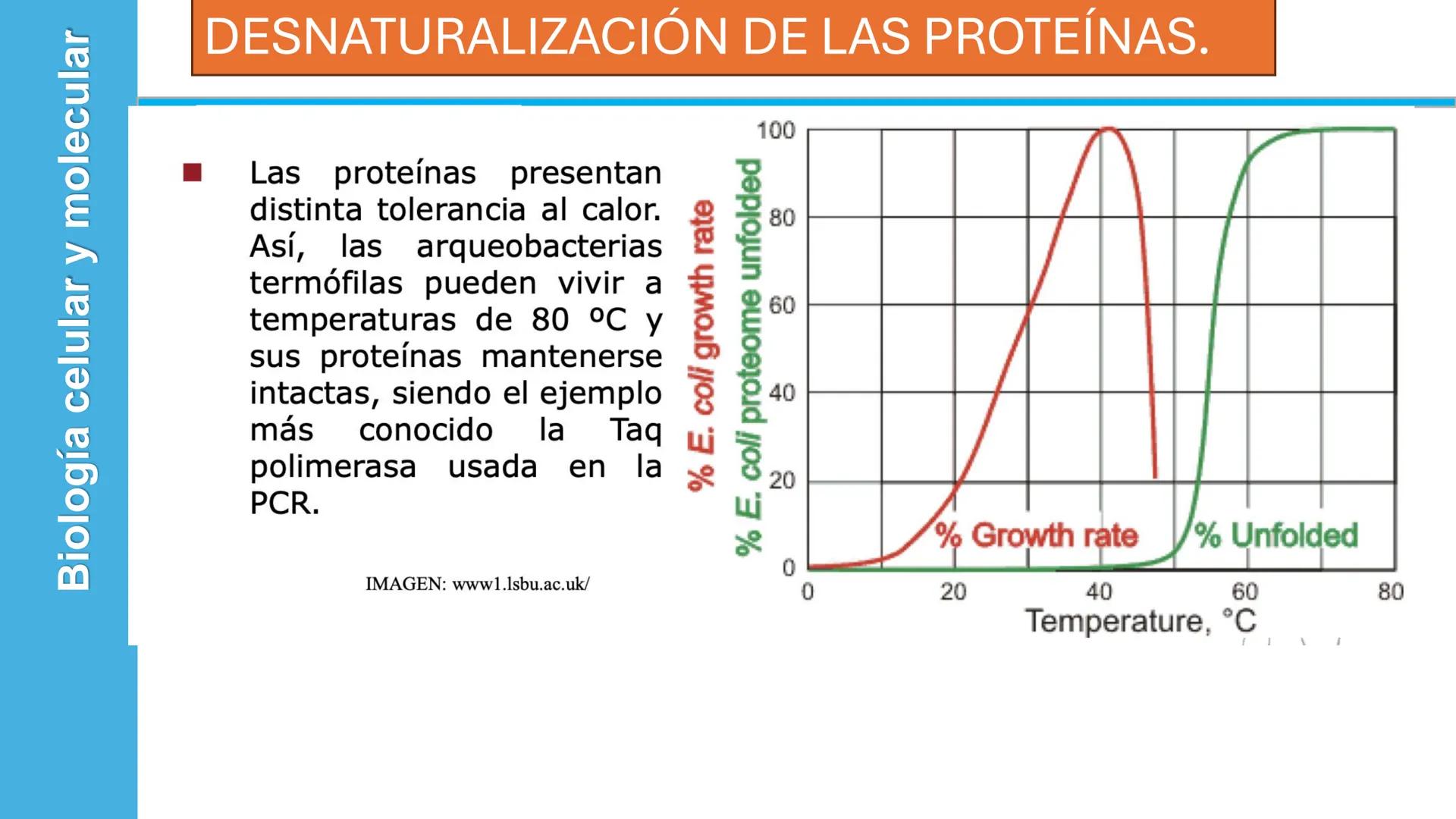 Objetivo: Describir la estructura de las proteínas y analizar la función de las proteínas.
# PROTEÍNAS
Unidad 2 Estudiando la versatilida