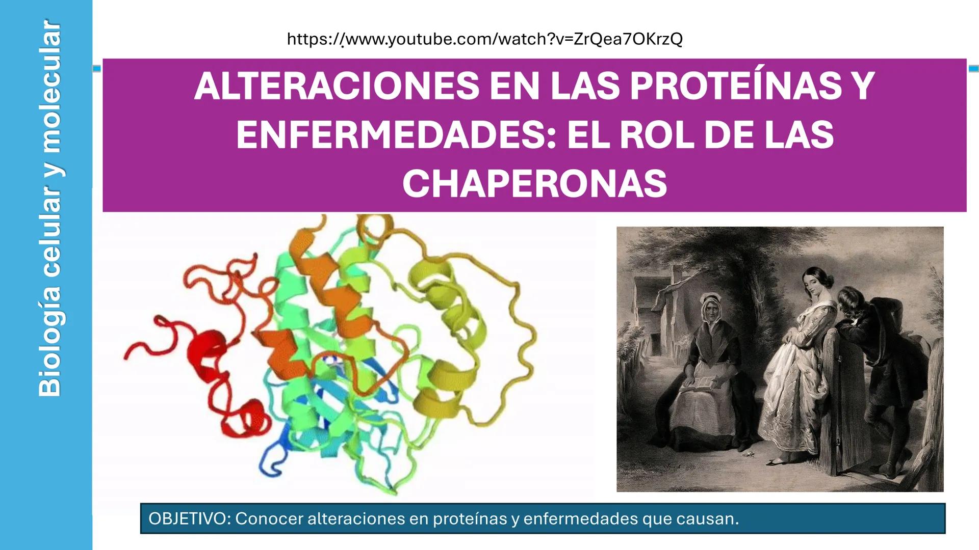 Objetivo: Describir la estructura de las proteínas y analizar la función de las proteínas.
# PROTEÍNAS
Unidad 2 Estudiando la versatilida
