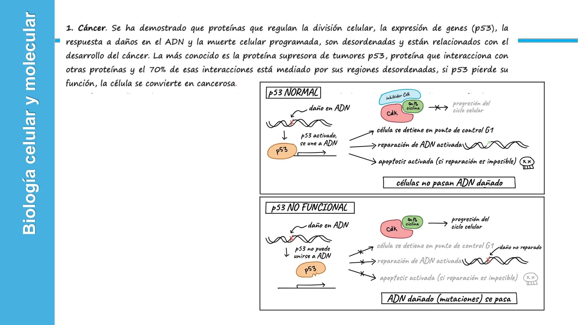 Objetivo: Describir la estructura de las proteínas y analizar la función de las proteínas.
# PROTEÍNAS
Unidad 2 Estudiando la versatilida