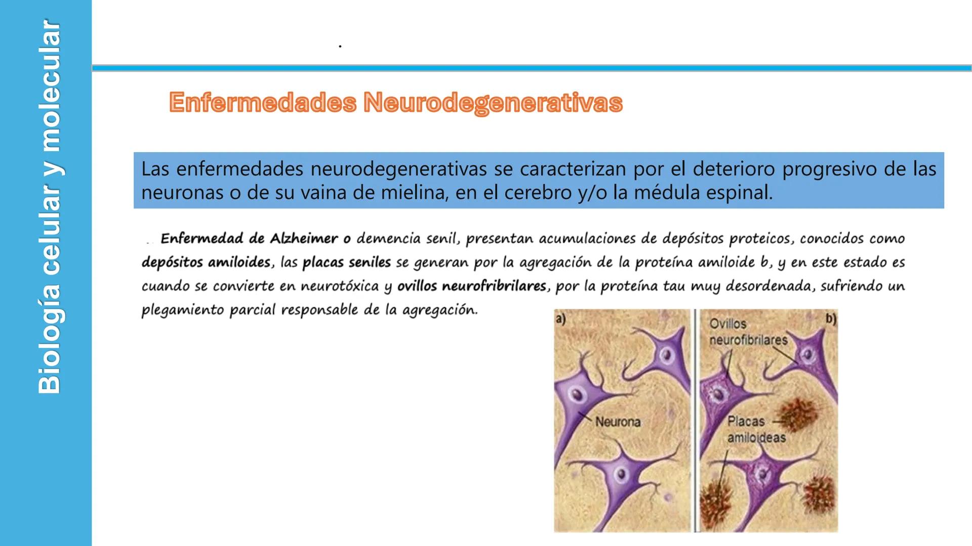 Objetivo: Describir la estructura de las proteínas y analizar la función de las proteínas.
# PROTEÍNAS
Unidad 2 Estudiando la versatilida