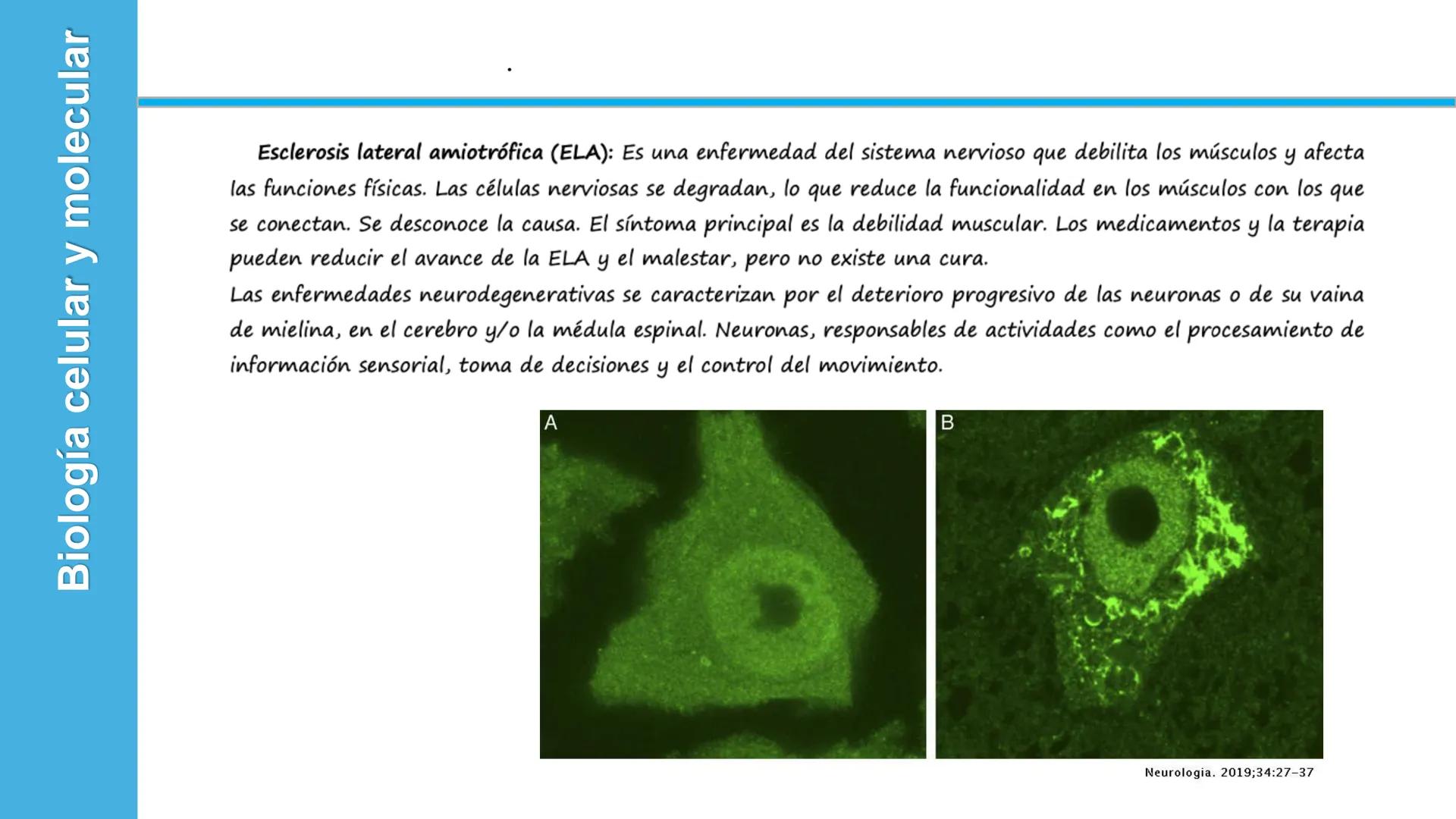 Objetivo: Describir la estructura de las proteínas y analizar la función de las proteínas.
# PROTEÍNAS
Unidad 2 Estudiando la versatilida