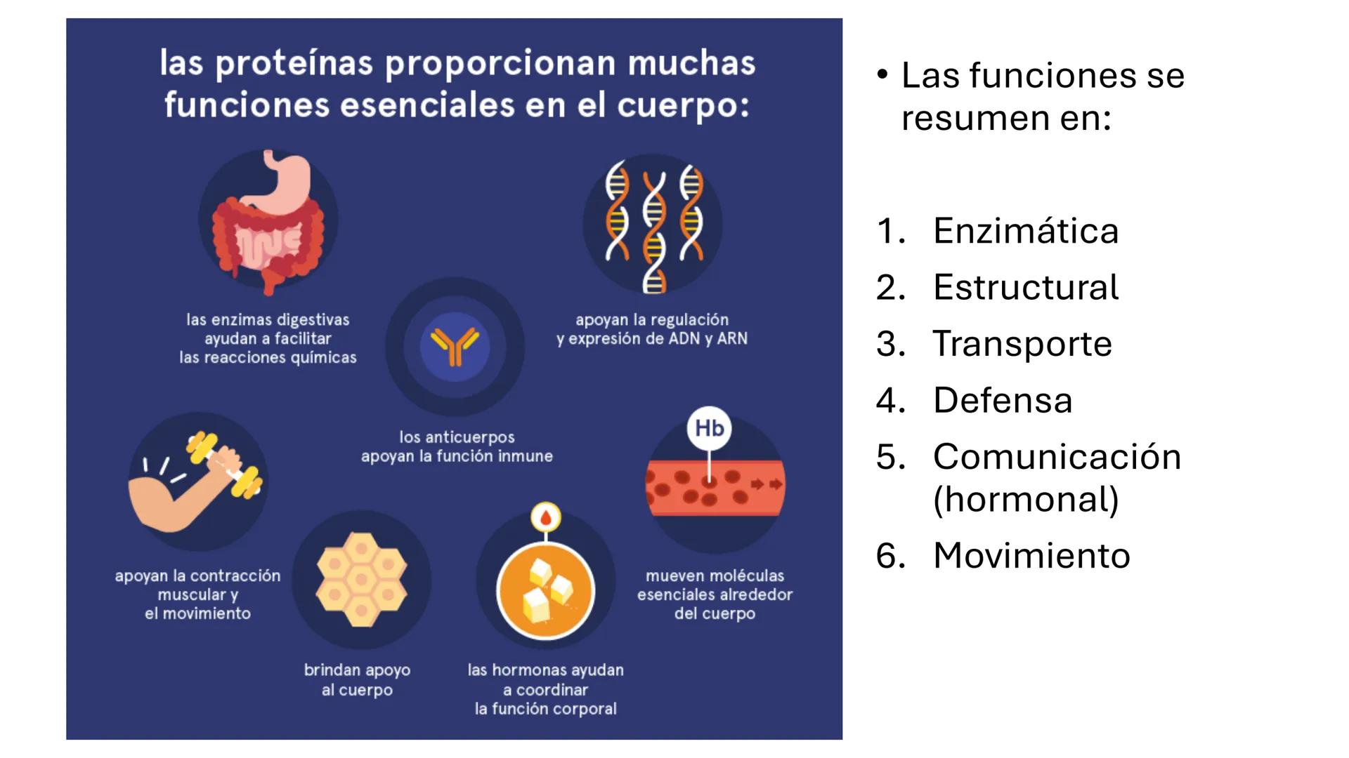 Objetivo: Describir la estructura de las proteínas y analizar la función de las proteínas.
# PROTEÍNAS
Unidad 2 Estudiando la versatilida
