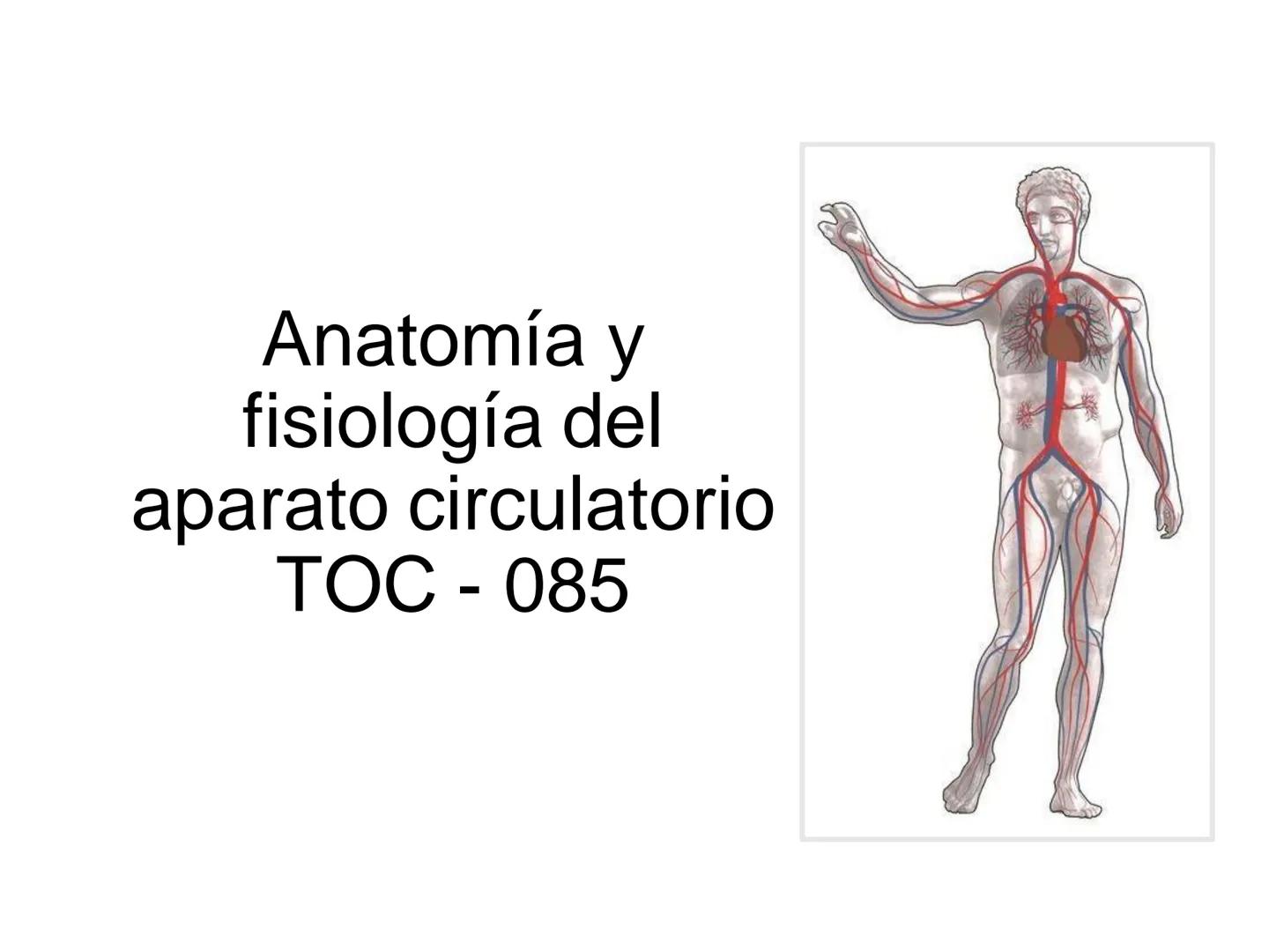 # Anatomía y fisiología del aparato circulatorio
TOC - 085 # GENERALIDADES
* El sistema cardiovascular está formado por el corazón y los va
