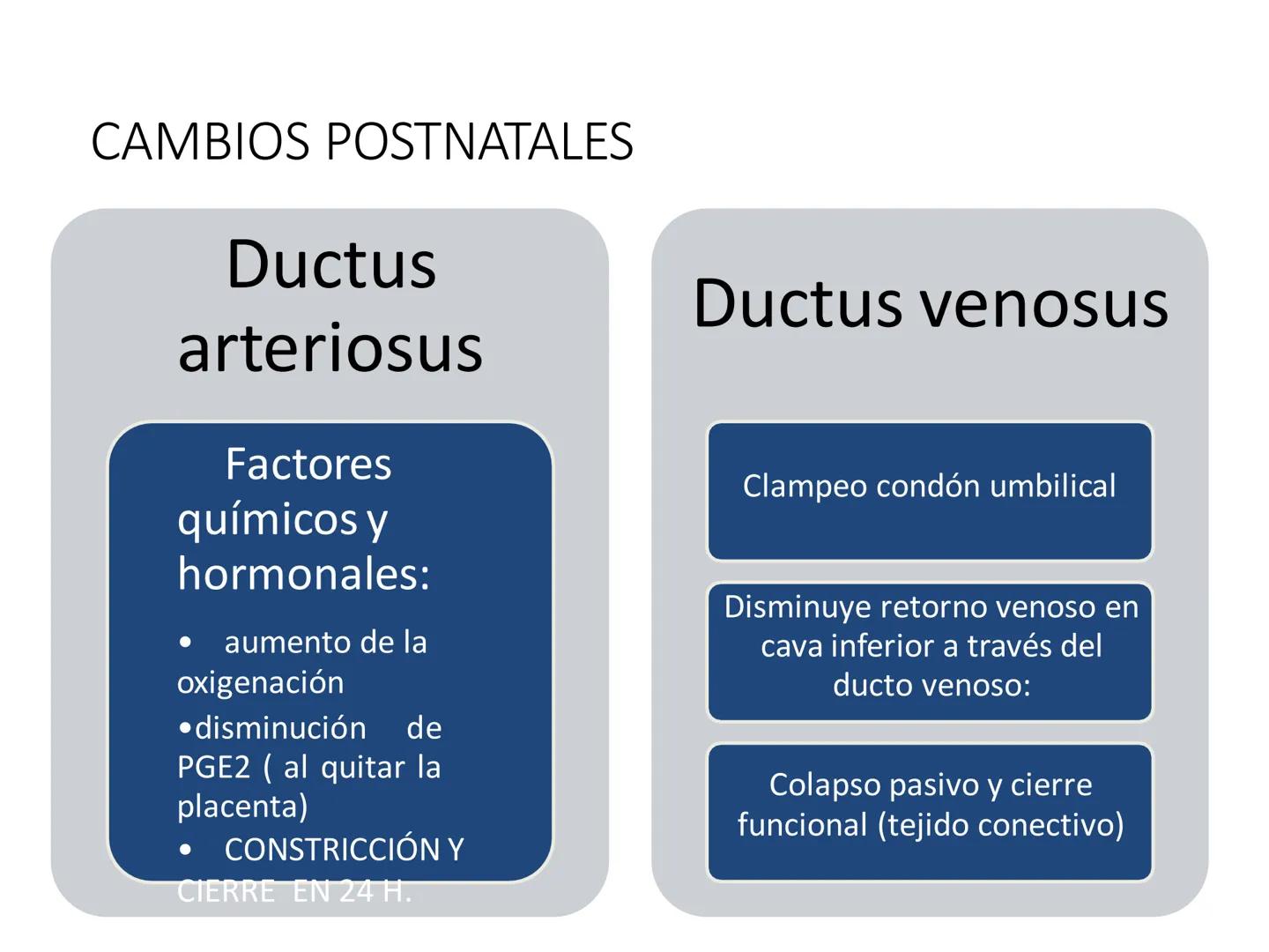# Anatomía y fisiología del aparato circulatorio
TOC - 085 # GENERALIDADES
* El sistema cardiovascular está formado por el corazón y los va