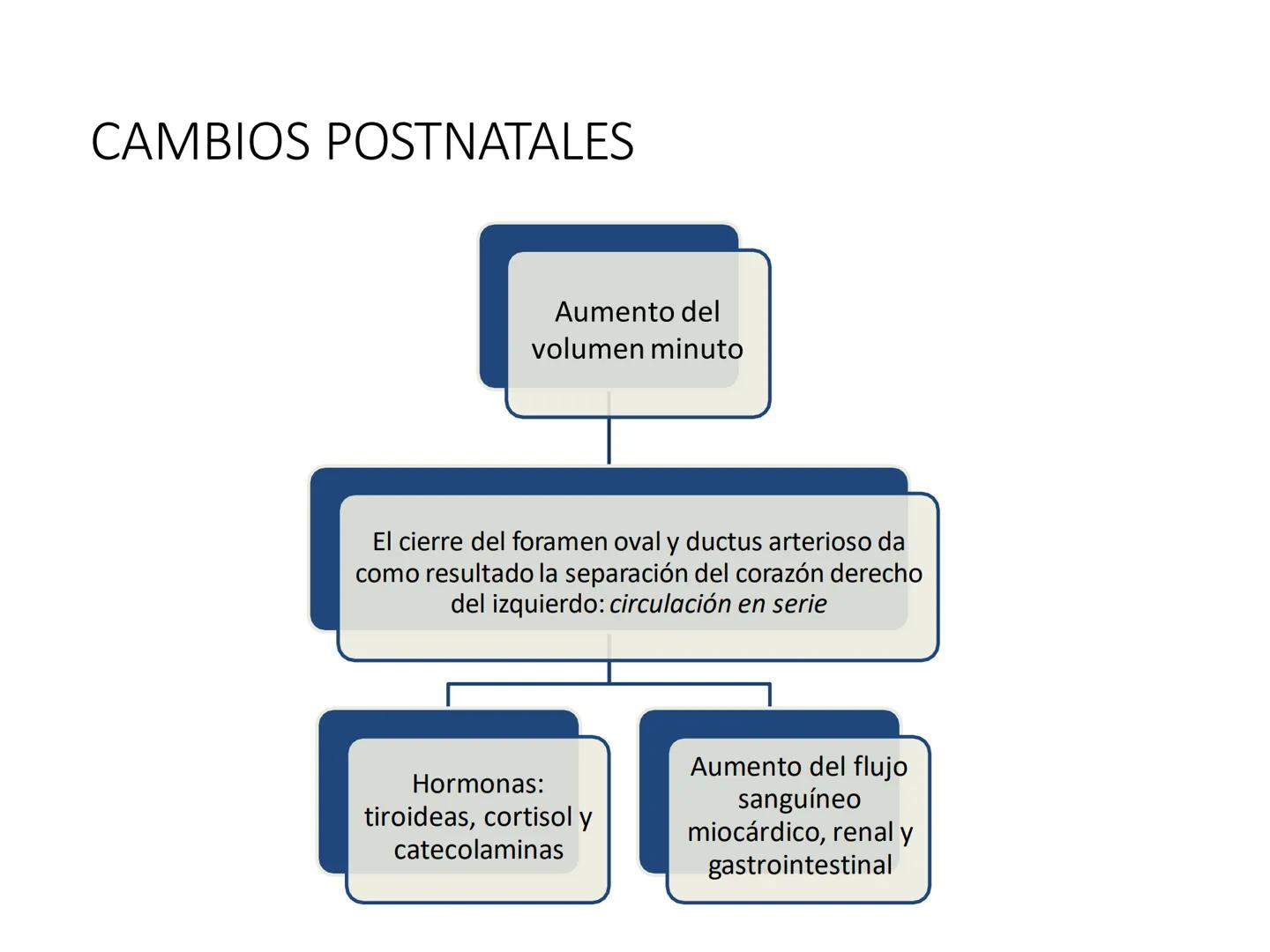 # Anatomía y fisiología del aparato circulatorio
TOC - 085 # GENERALIDADES
* El sistema cardiovascular está formado por el corazón y los va