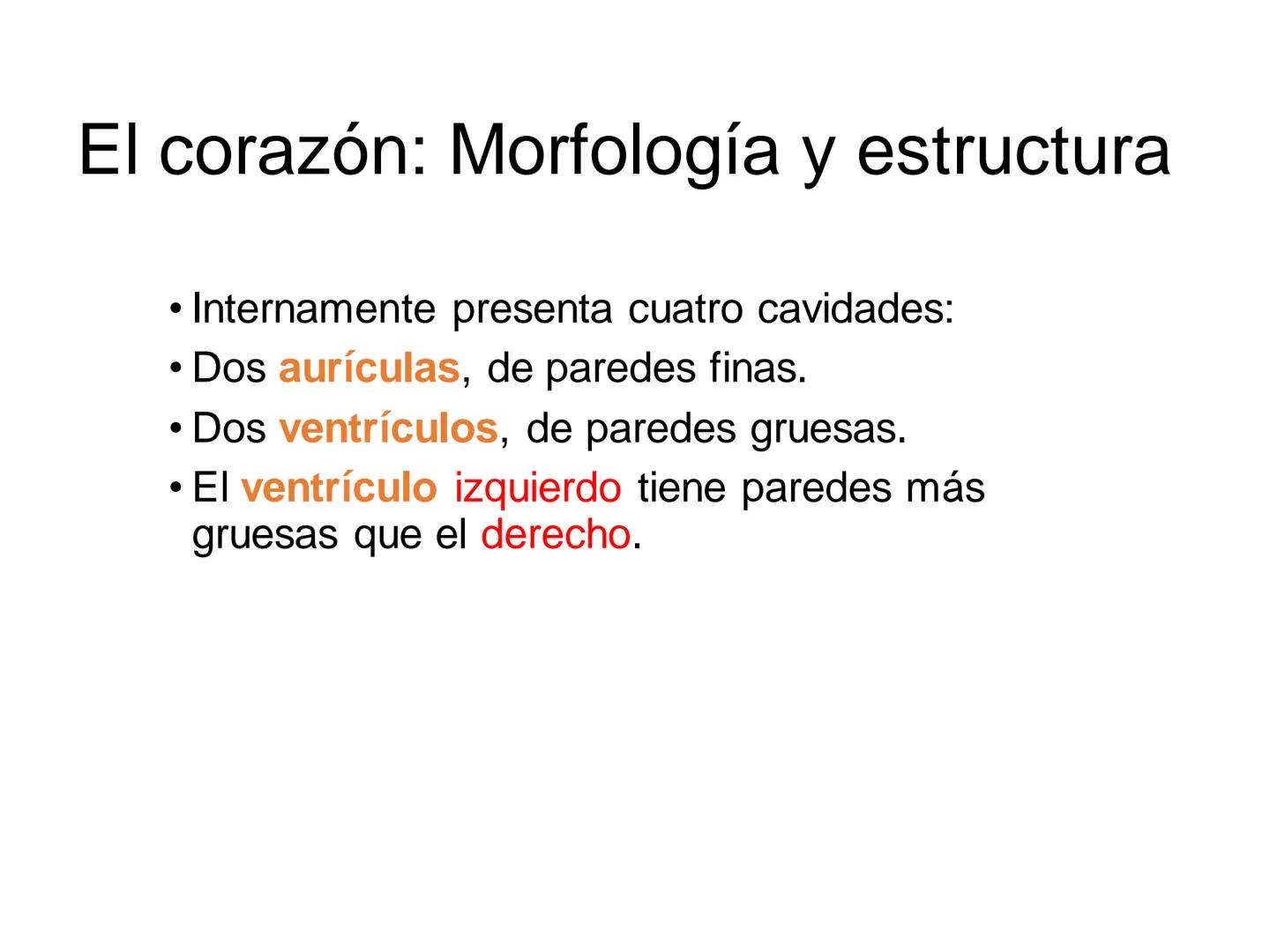 # Anatomía y fisiología del aparato circulatorio
TOC - 085 # GENERALIDADES
* El sistema cardiovascular está formado por el corazón y los va
