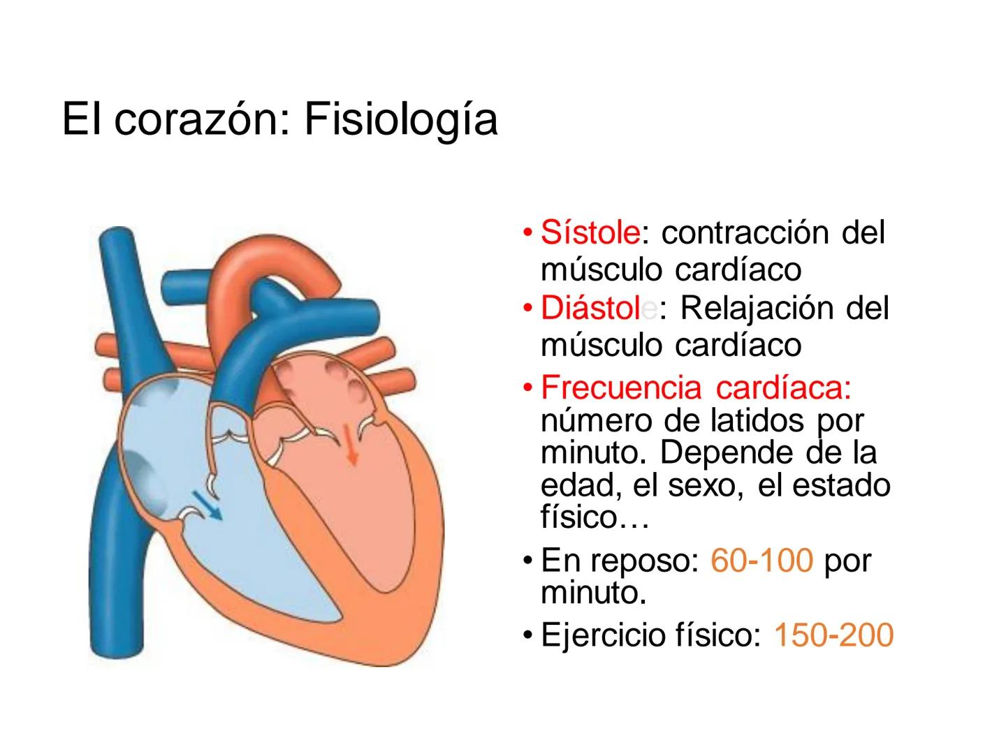 # Anatomía y fisiología del aparato circulatorio
TOC - 085 # GENERALIDADES
* El sistema cardiovascular está formado por el corazón y los va