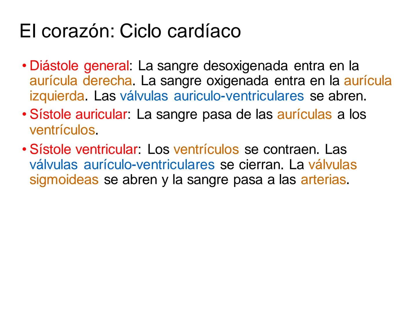 # Anatomía y fisiología del aparato circulatorio
TOC - 085 # GENERALIDADES
* El sistema cardiovascular está formado por el corazón y los va