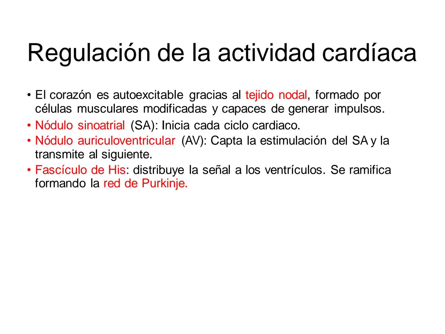 # Anatomía y fisiología del aparato circulatorio
TOC - 085 # GENERALIDADES
* El sistema cardiovascular está formado por el corazón y los va