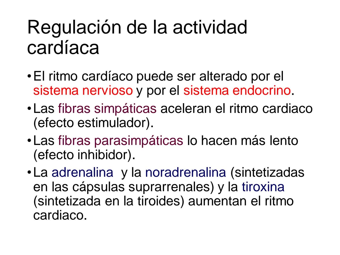 # Anatomía y fisiología del aparato circulatorio
TOC - 085 # GENERALIDADES
* El sistema cardiovascular está formado por el corazón y los va