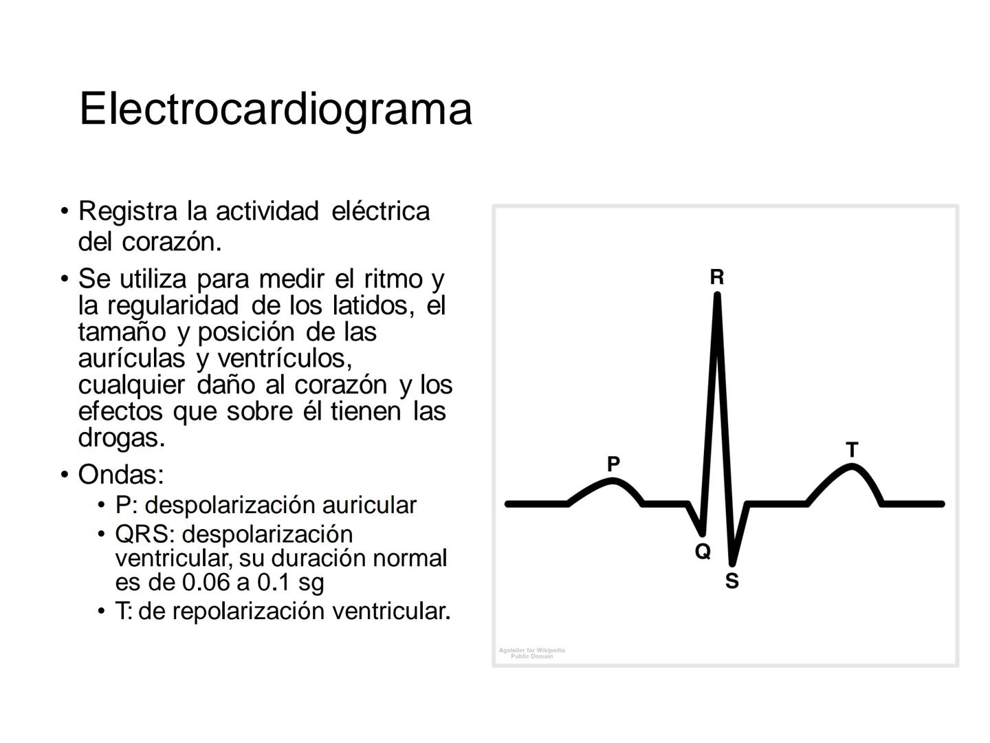 # Anatomía y fisiología del aparato circulatorio
TOC - 085 # GENERALIDADES
* El sistema cardiovascular está formado por el corazón y los va