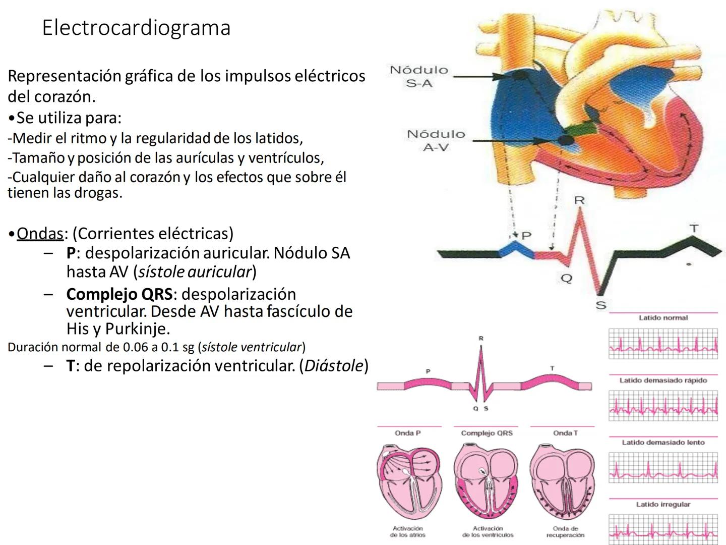 # Anatomía y fisiología del aparato circulatorio
TOC - 085 # GENERALIDADES
* El sistema cardiovascular está formado por el corazón y los va