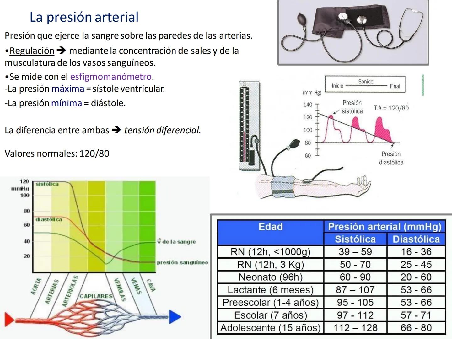 # Anatomía y fisiología del aparato circulatorio
TOC - 085 # GENERALIDADES
* El sistema cardiovascular está formado por el corazón y los va
