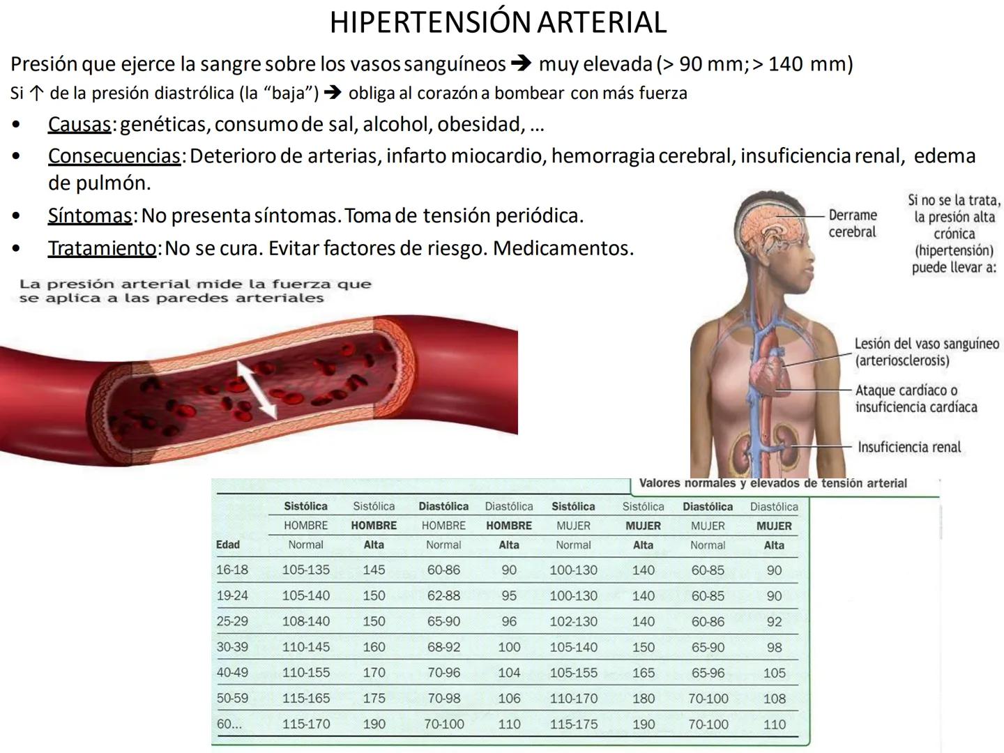 # Anatomía y fisiología del aparato circulatorio
TOC - 085 # GENERALIDADES
* El sistema cardiovascular está formado por el corazón y los va