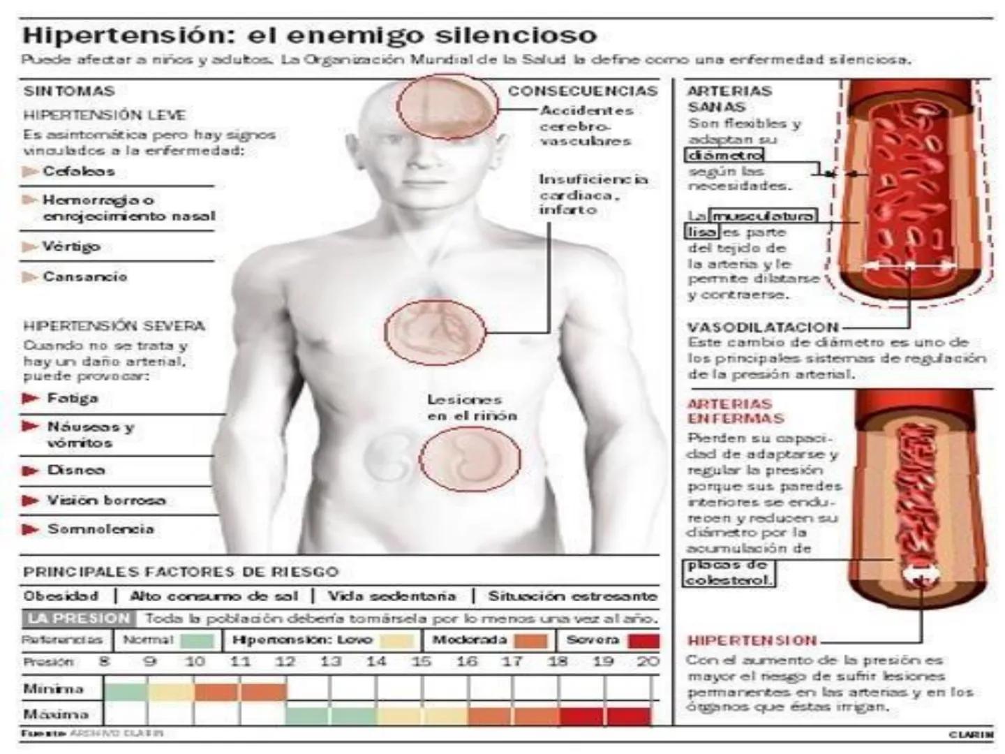 # Anatomía y fisiología del aparato circulatorio
TOC - 085 # GENERALIDADES
* El sistema cardiovascular está formado por el corazón y los va