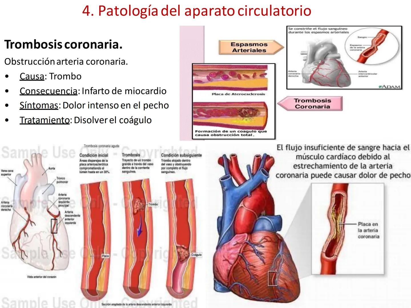 # Anatomía y fisiología del aparato circulatorio
TOC - 085 # GENERALIDADES
* El sistema cardiovascular está formado por el corazón y los va