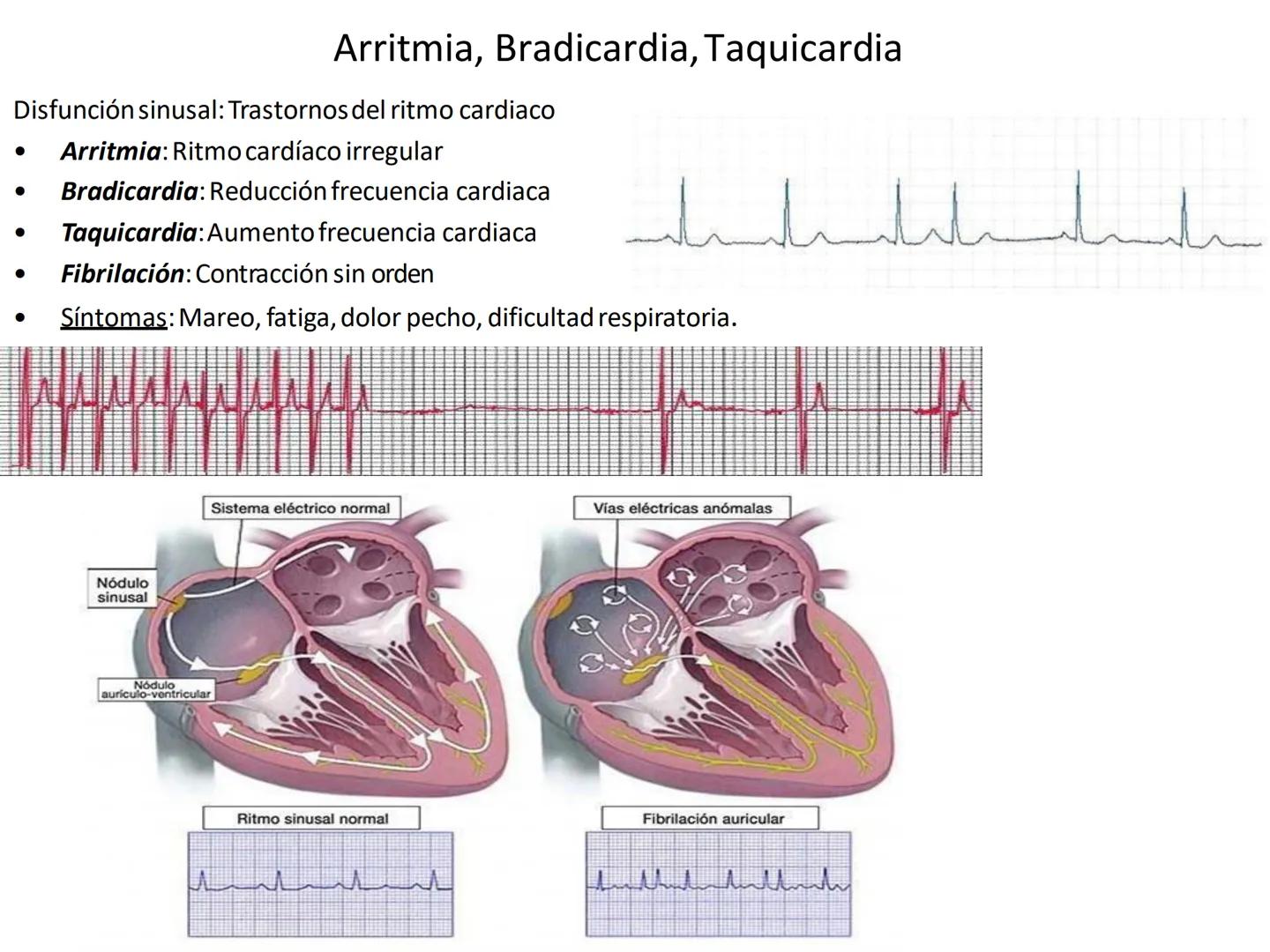 # Anatomía y fisiología del aparato circulatorio
TOC - 085 # GENERALIDADES
* El sistema cardiovascular está formado por el corazón y los va