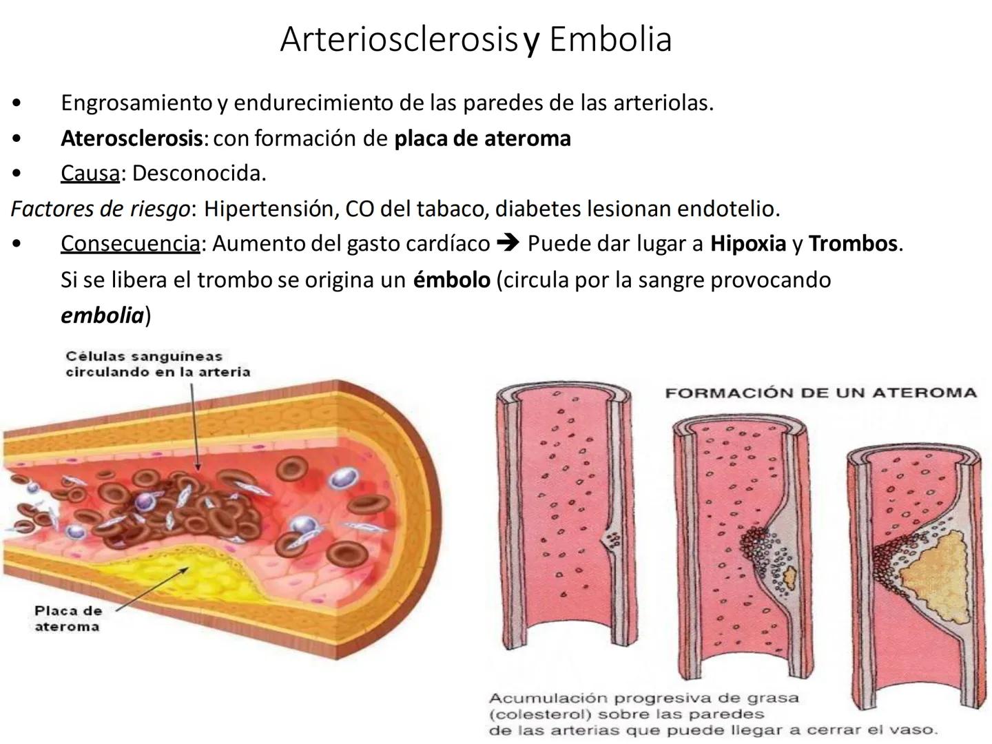 # Anatomía y fisiología del aparato circulatorio
TOC - 085 # GENERALIDADES
* El sistema cardiovascular está formado por el corazón y los va