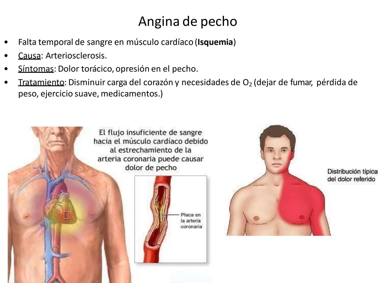 # Anatomía y fisiología del aparato circulatorio
TOC - 085 # GENERALIDADES
* El sistema cardiovascular está formado por el corazón y los va