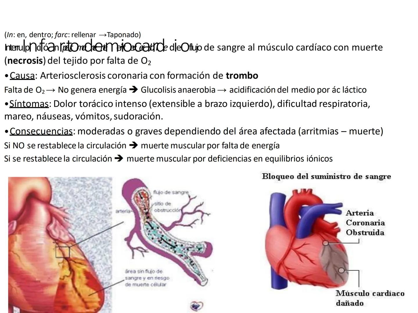 # Anatomía y fisiología del aparato circulatorio
TOC - 085 # GENERALIDADES
* El sistema cardiovascular está formado por el corazón y los va