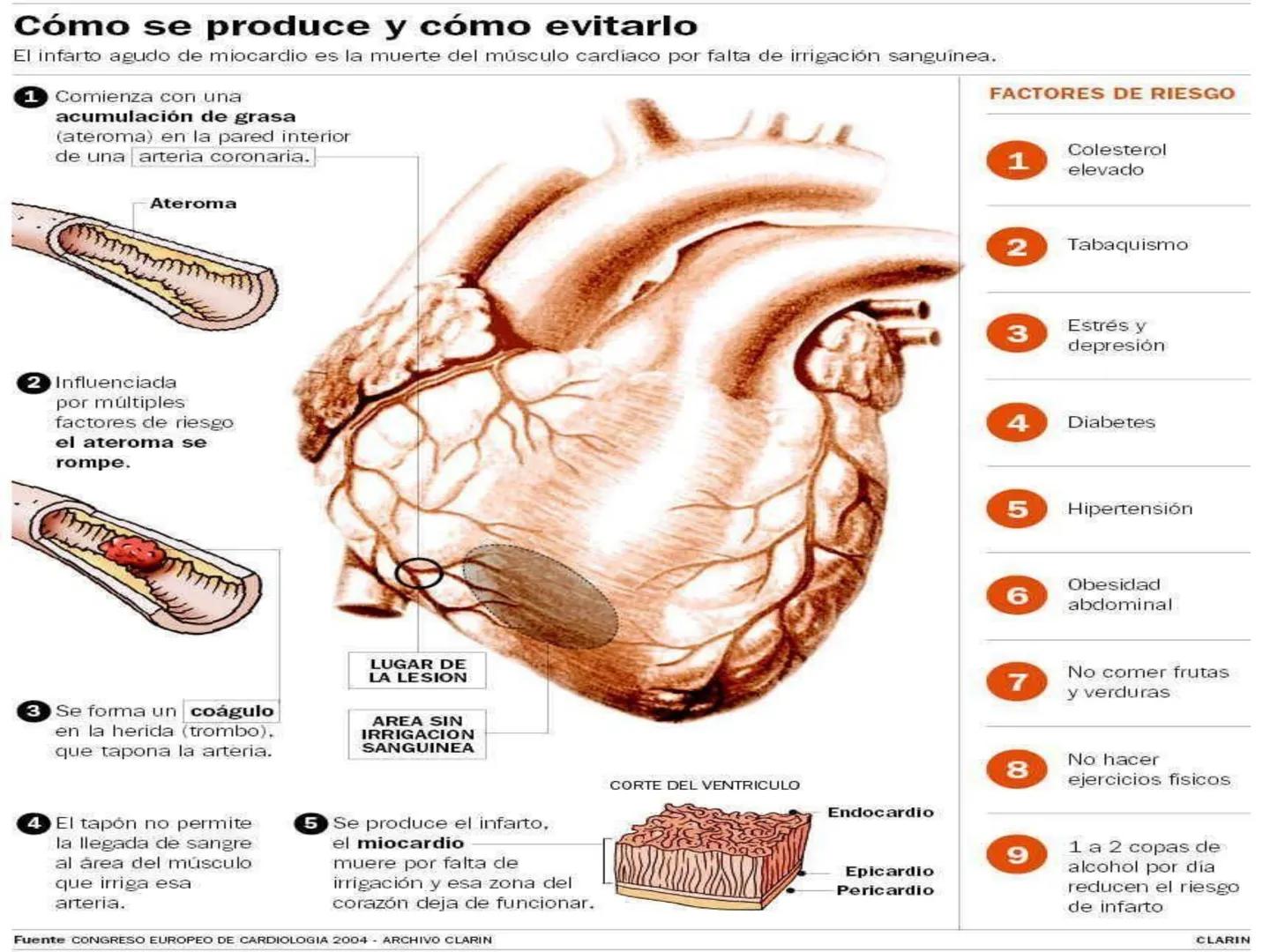 # Anatomía y fisiología del aparato circulatorio
TOC - 085 # GENERALIDADES
* El sistema cardiovascular está formado por el corazón y los va