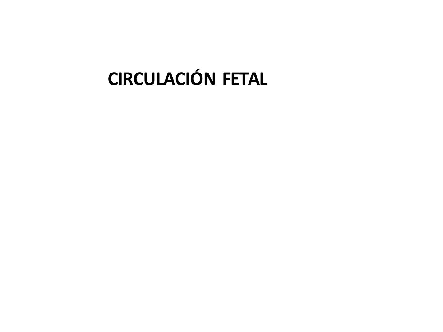 # Anatomía y fisiología del aparato circulatorio
TOC - 085 # GENERALIDADES
* El sistema cardiovascular está formado por el corazón y los va