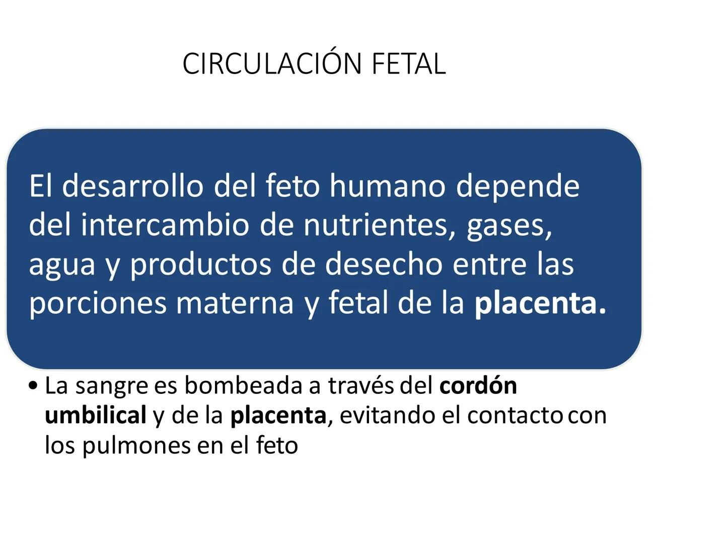 # Anatomía y fisiología del aparato circulatorio
TOC - 085 # GENERALIDADES
* El sistema cardiovascular está formado por el corazón y los va