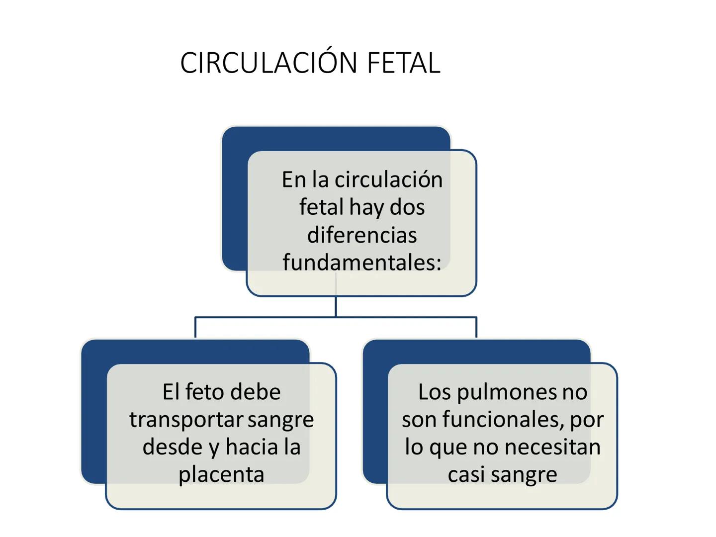 # Anatomía y fisiología del aparato circulatorio
TOC - 085 # GENERALIDADES
* El sistema cardiovascular está formado por el corazón y los va