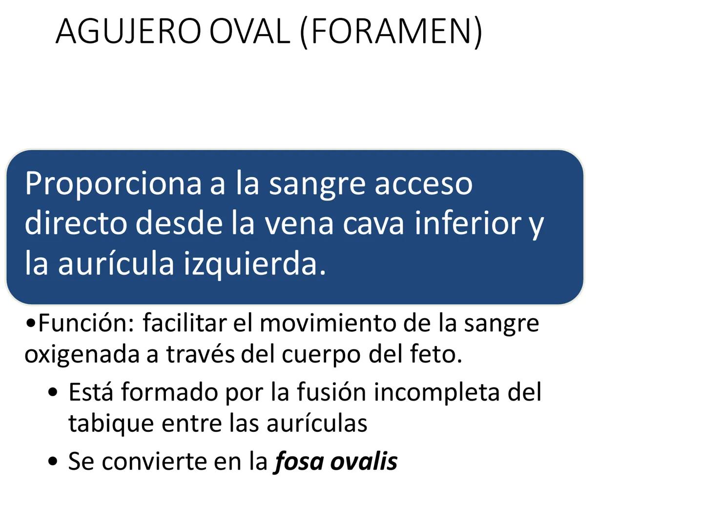 # Anatomía y fisiología del aparato circulatorio
TOC - 085 # GENERALIDADES
* El sistema cardiovascular está formado por el corazón y los va