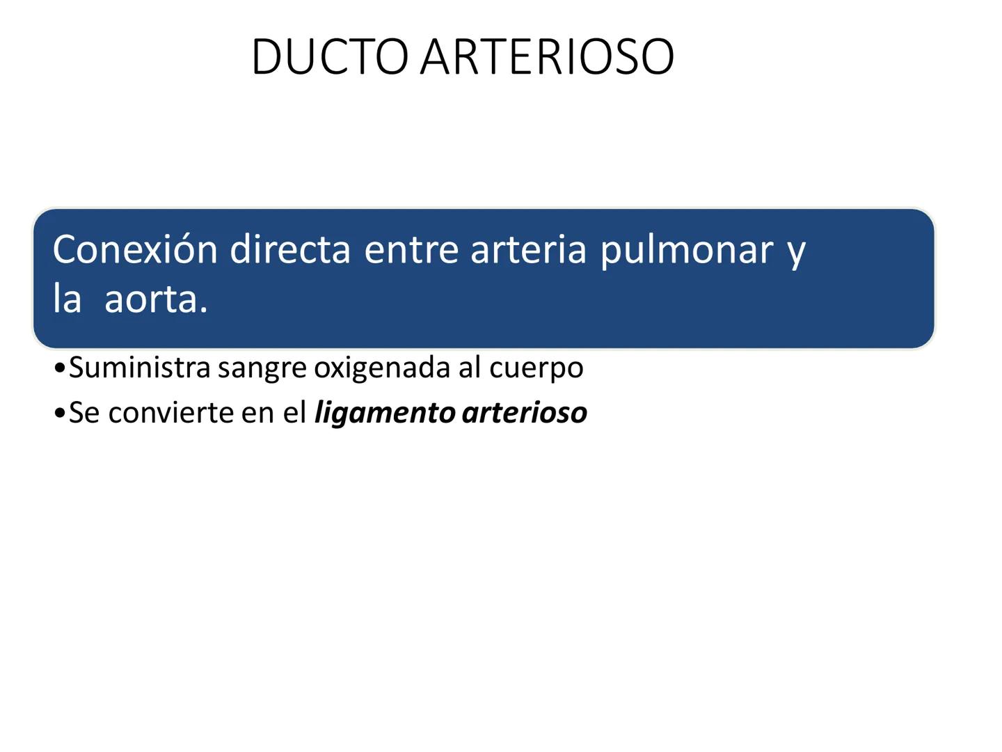 # Anatomía y fisiología del aparato circulatorio
TOC - 085 # GENERALIDADES
* El sistema cardiovascular está formado por el corazón y los va