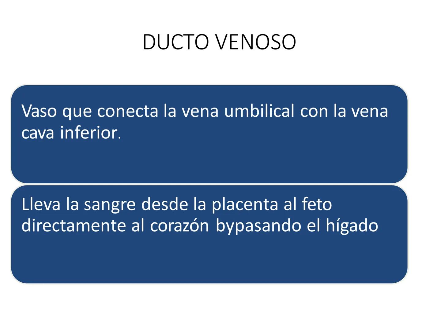 # Anatomía y fisiología del aparato circulatorio
TOC - 085 # GENERALIDADES
* El sistema cardiovascular está formado por el corazón y los va