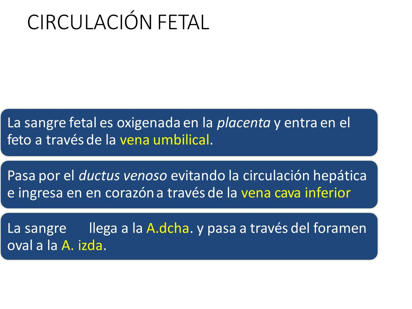 # Anatomía y fisiología del aparato circulatorio
TOC - 085 # GENERALIDADES
* El sistema cardiovascular está formado por el corazón y los va