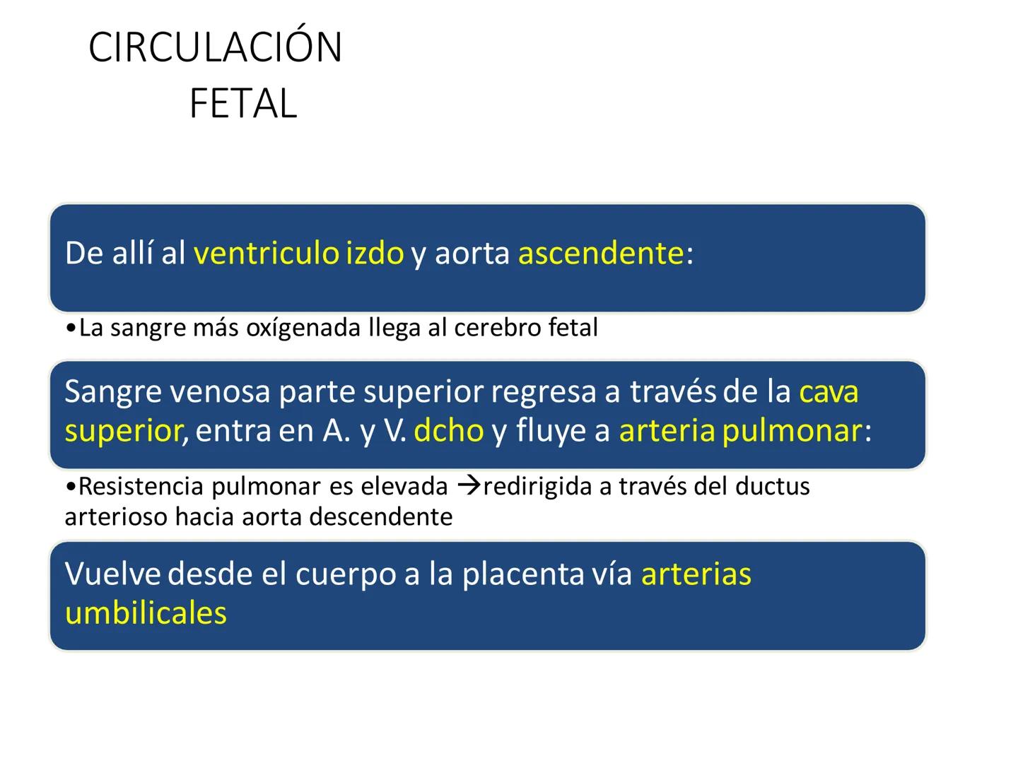 # Anatomía y fisiología del aparato circulatorio
TOC - 085 # GENERALIDADES
* El sistema cardiovascular está formado por el corazón y los va