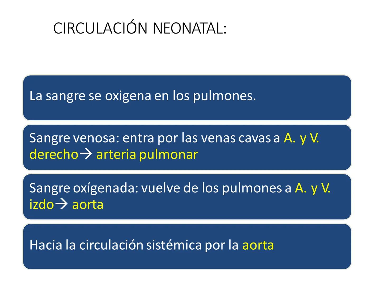 # Anatomía y fisiología del aparato circulatorio
TOC - 085 # GENERALIDADES
* El sistema cardiovascular está formado por el corazón y los va