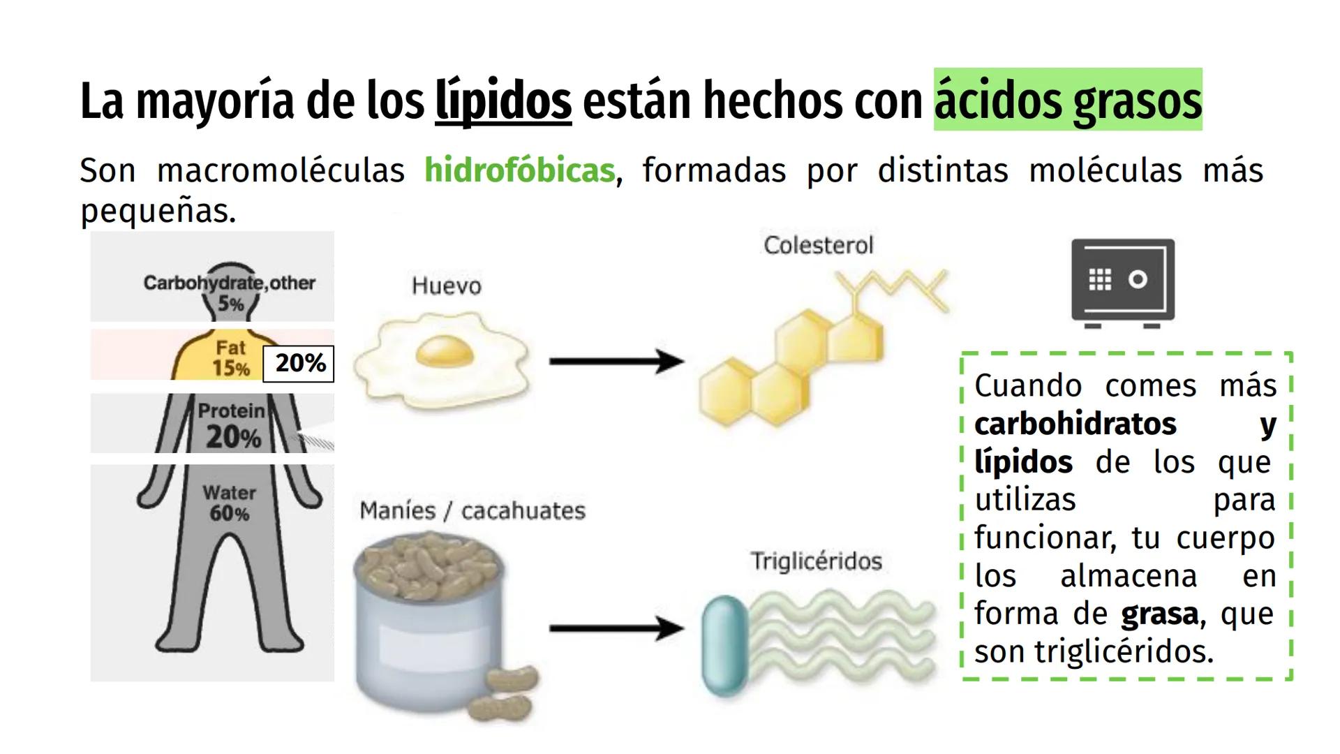 # Nutrientes
y sus consecuencias
Fernanda Lucero Ticket de entrada
1) Elabora una lista de los alimentos que consumiste en el
almuerzo de a