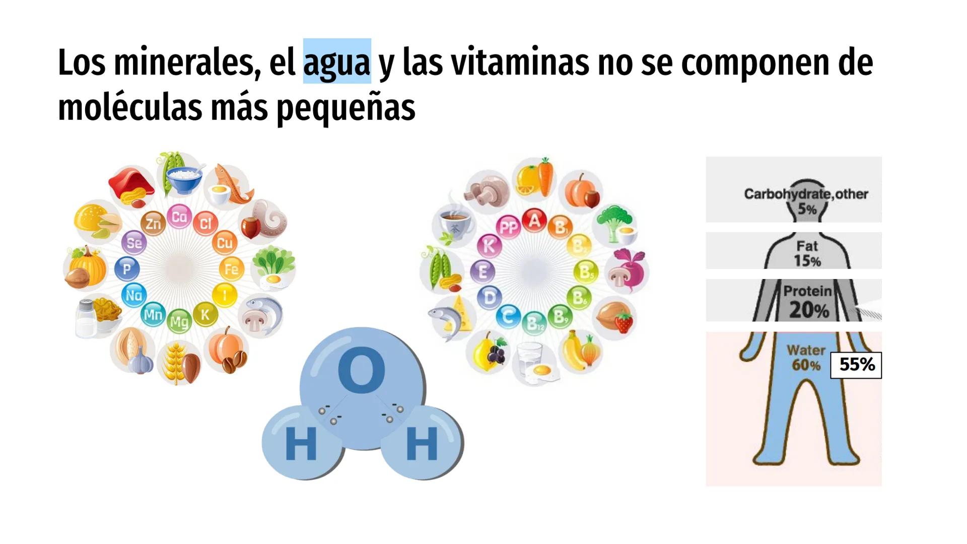 # Nutrientes
y sus consecuencias
Fernanda Lucero Ticket de entrada
1) Elabora una lista de los alimentos que consumiste en el
almuerzo de a