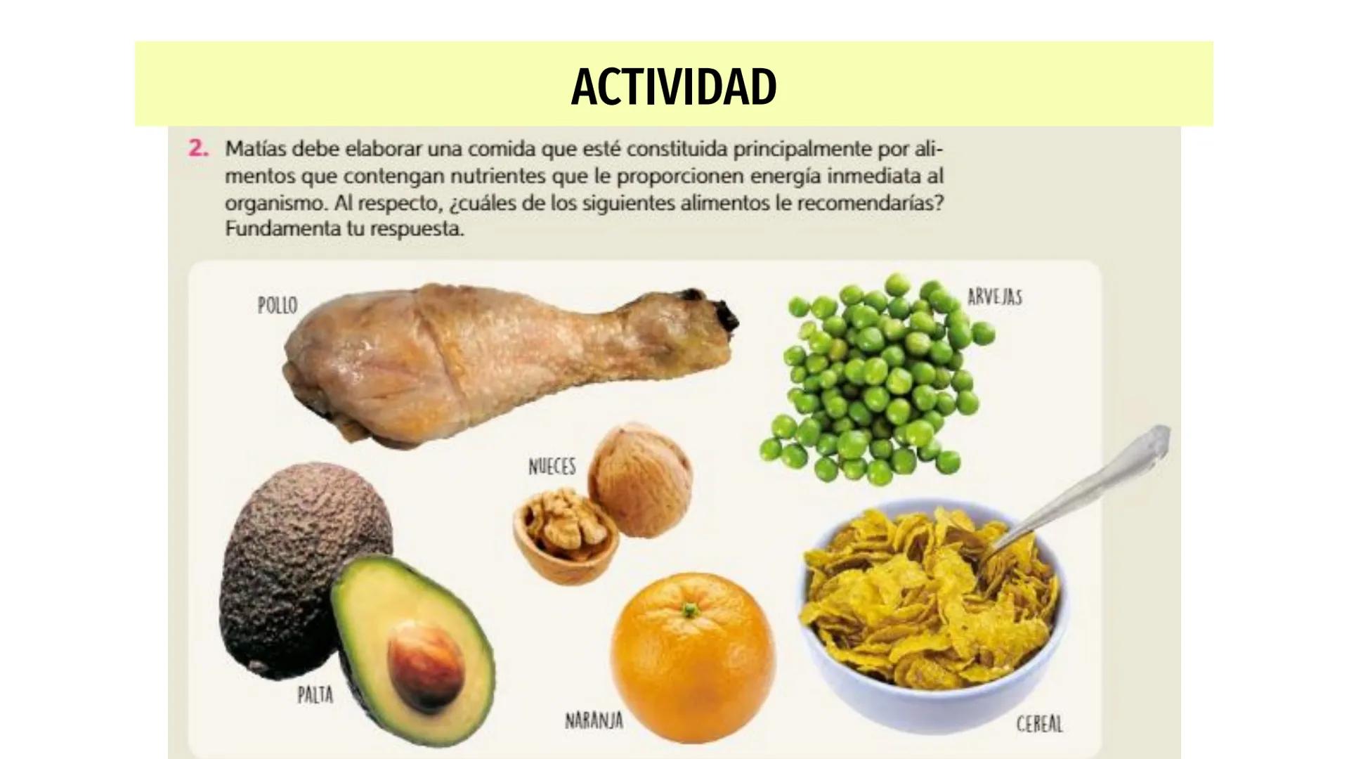 # Nutrientes
y sus consecuencias
Fernanda Lucero Ticket de entrada
1) Elabora una lista de los alimentos que consumiste en el
almuerzo de a